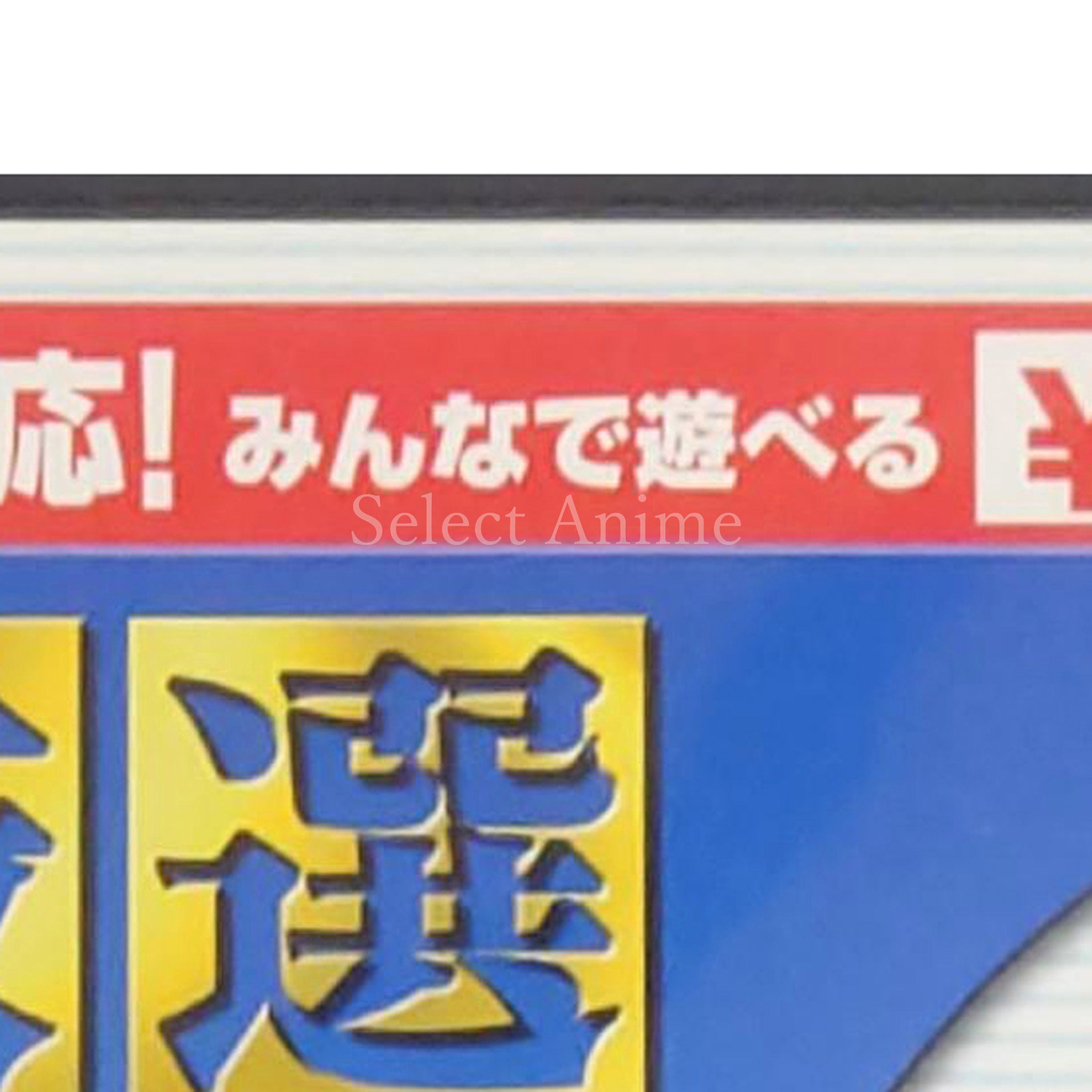 Wi-Fi Taio Gensen Table Game DS NINTENDO DS [USED]