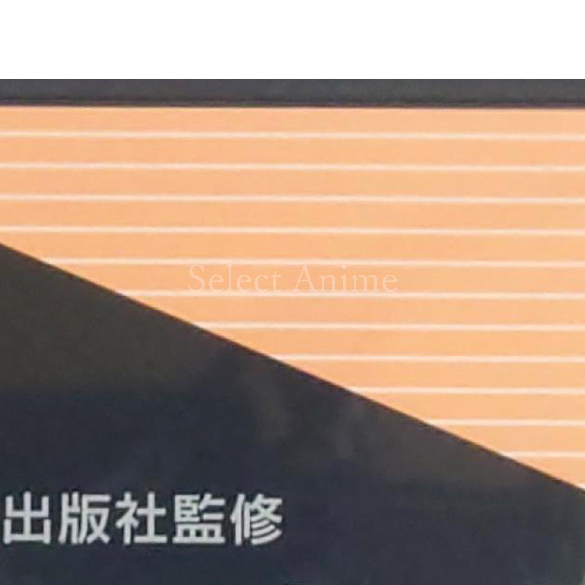 Yamakawa Shuppansha Kanshu Shosetsu Nihonshi B Sogo Training NINTENDO DS [USED]