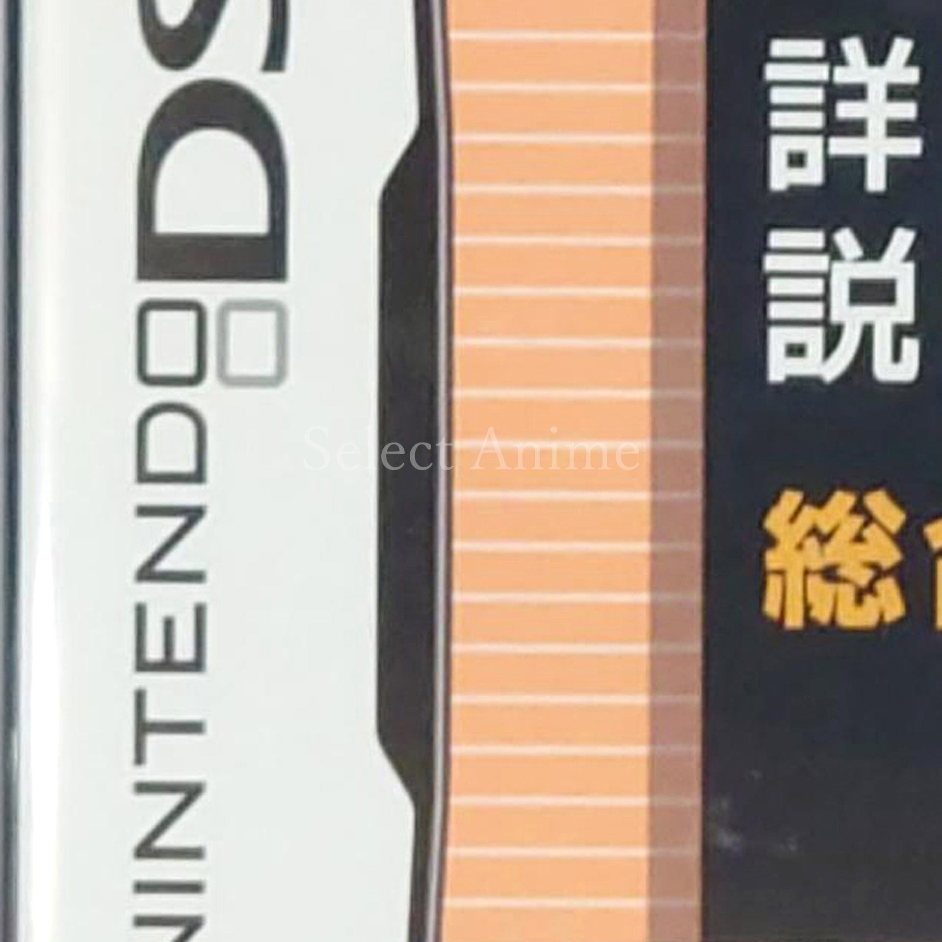 Yamakawa Shuppansha Kanshu Shosetsu Nihonshi B Sogo Training NINTENDO DS [USED]