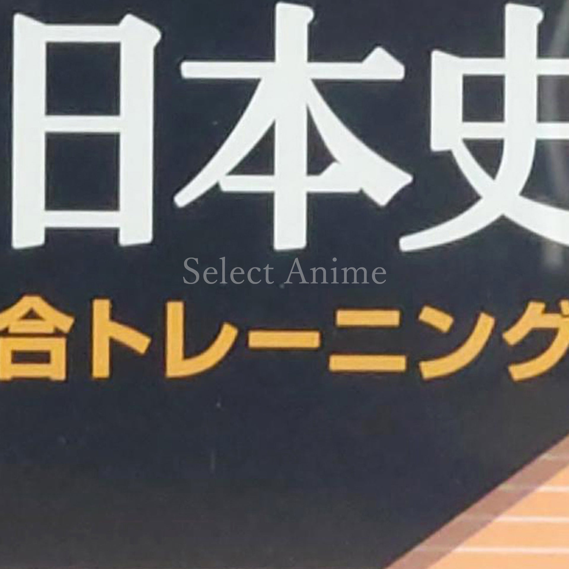 Yamakawa Shuppansha Kanshu Shosetsu Nihonshi B Sogo Training NINTENDO DS [USED]