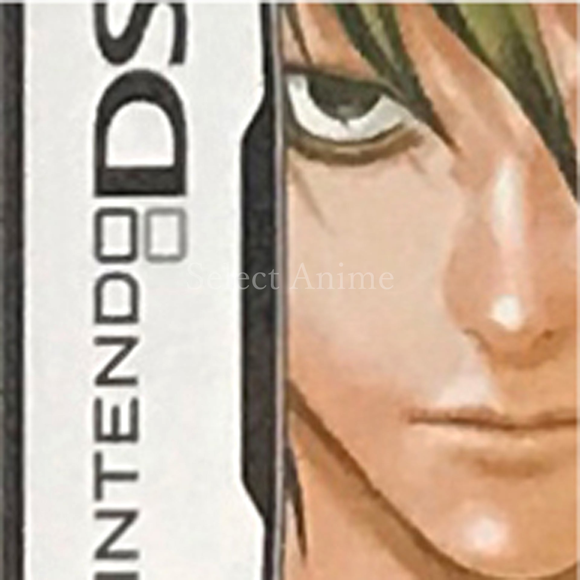 L the ProLogue to Death Note Spiral Trap NINTENDO DS [USED]