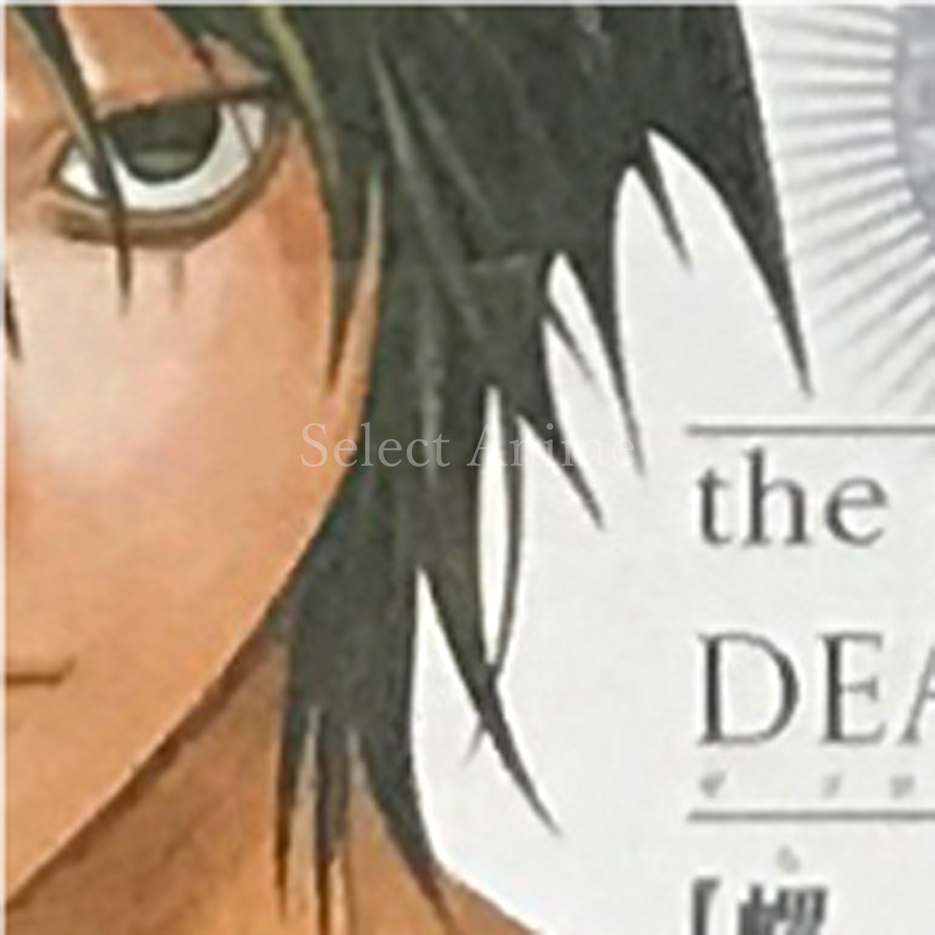 L the ProLogue to Death Note Spiral Trap NINTENDO DS [USED]