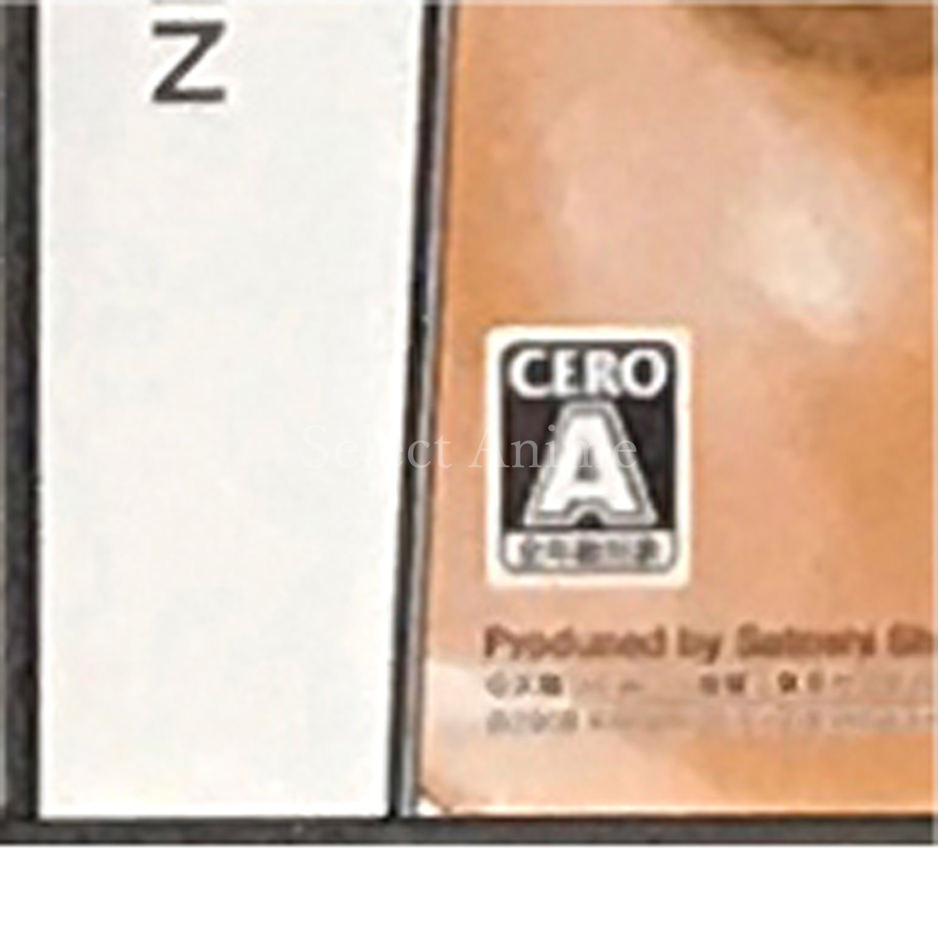 L the ProLogue to Death Note Spiral Trap NINTENDO DS [USED]