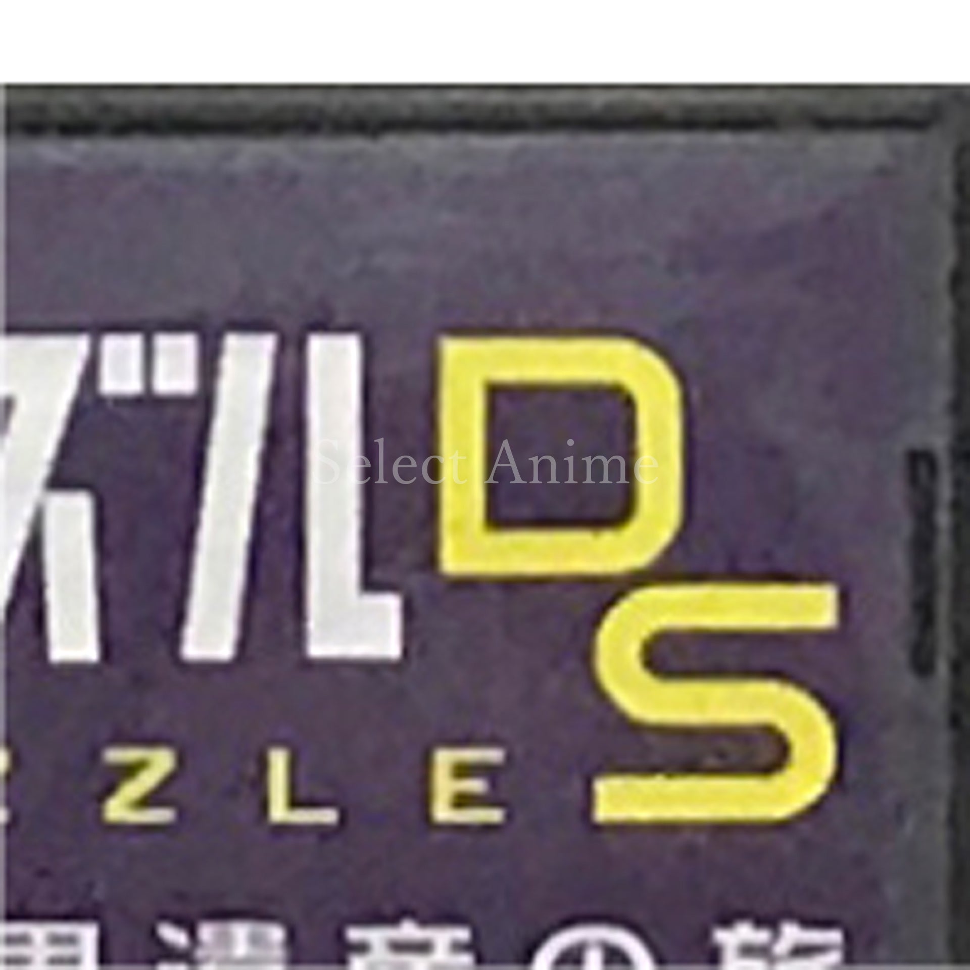 Jigsaw Puzzle DS: DS de Meguru Sekai Isan no Tabi NINTENDO DS [USED]