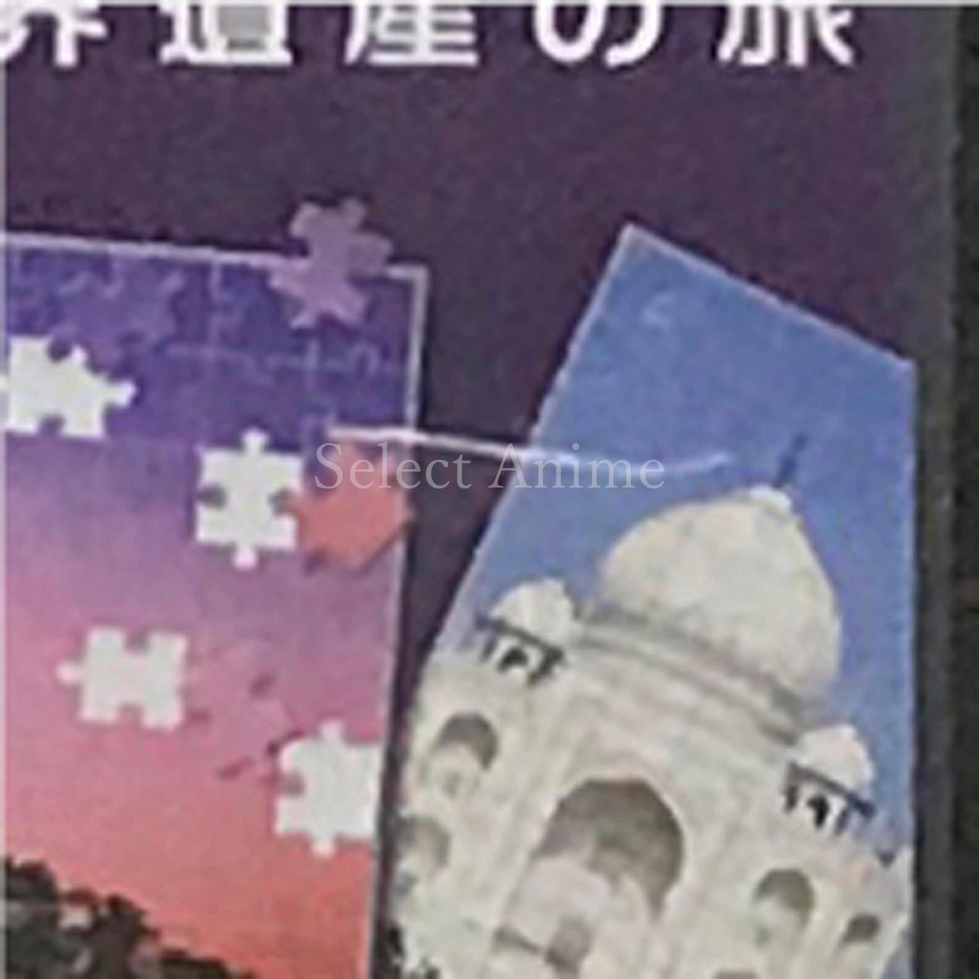 Jigsaw Puzzle DS: DS de Meguru Sekai Isan no Tabi NINTENDO DS [USED]