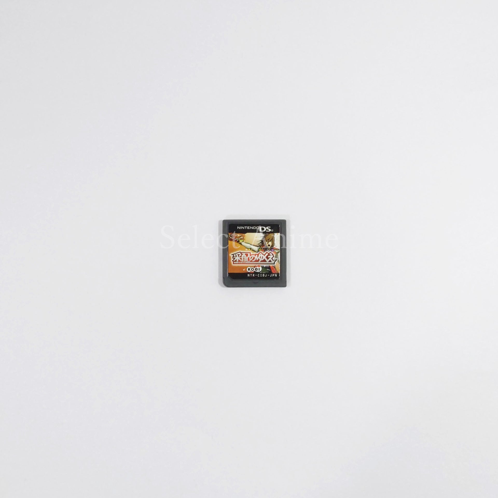 Saihai no Yukue NINTENDO DS [USED]