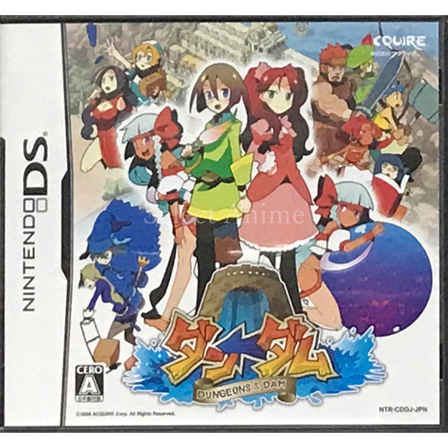 Dungeons & Dam NINTENDO DS [USED]