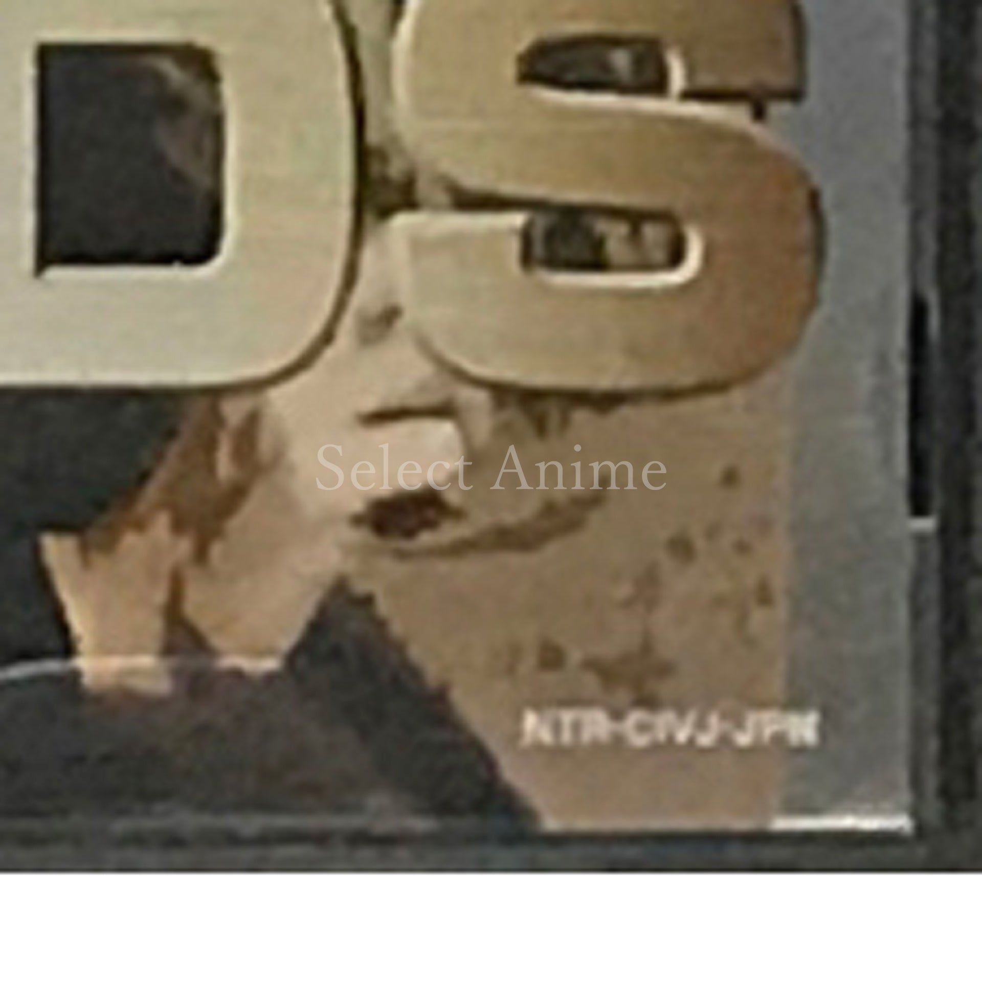 Aibou DS NINTENDO DS [USED]