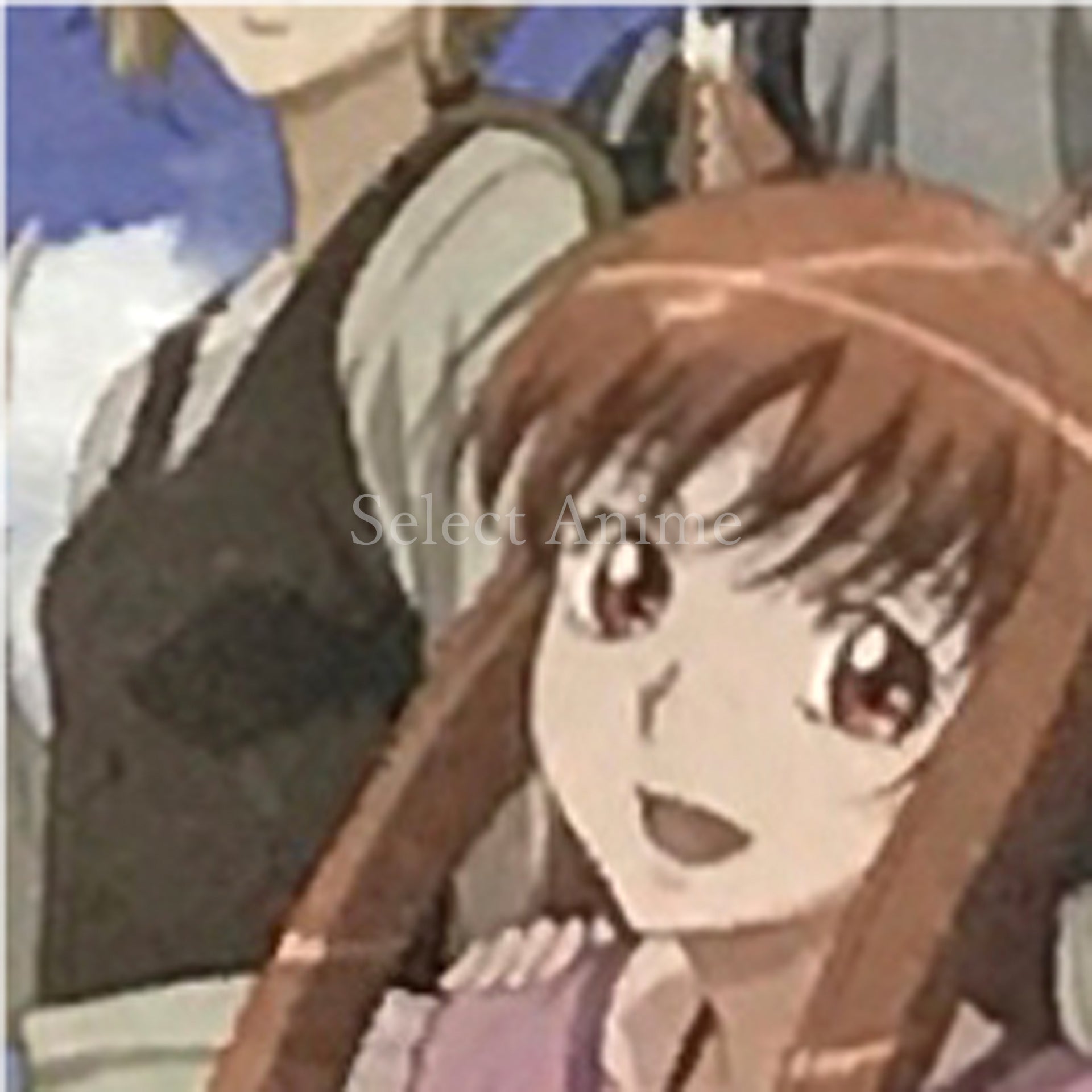 Spice and Wolf: The Wind that Spans the Sea NINTENDO DS [USED]