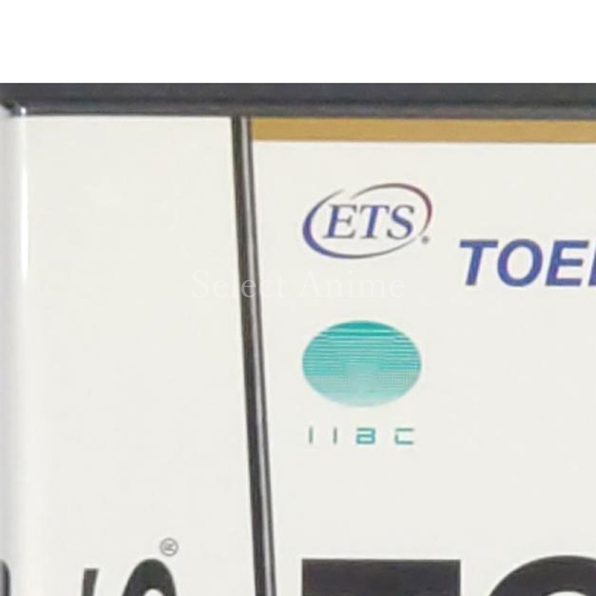 Toeic Test Koushiki DS Training NINTENDO DS [USED]