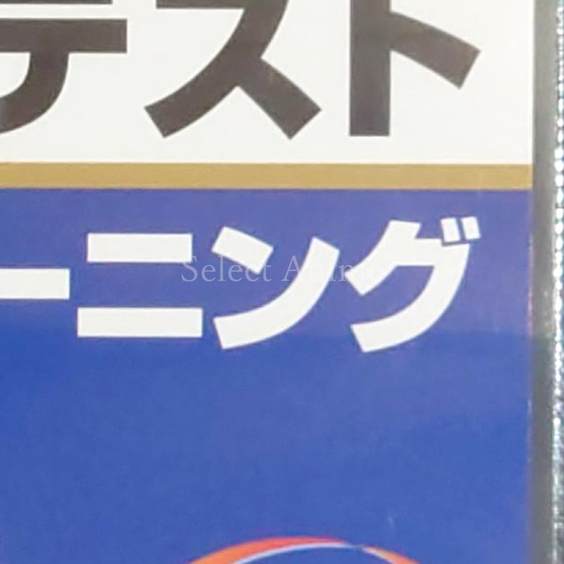 Toeic Test Koushiki DS Training NINTENDO DS [USED]