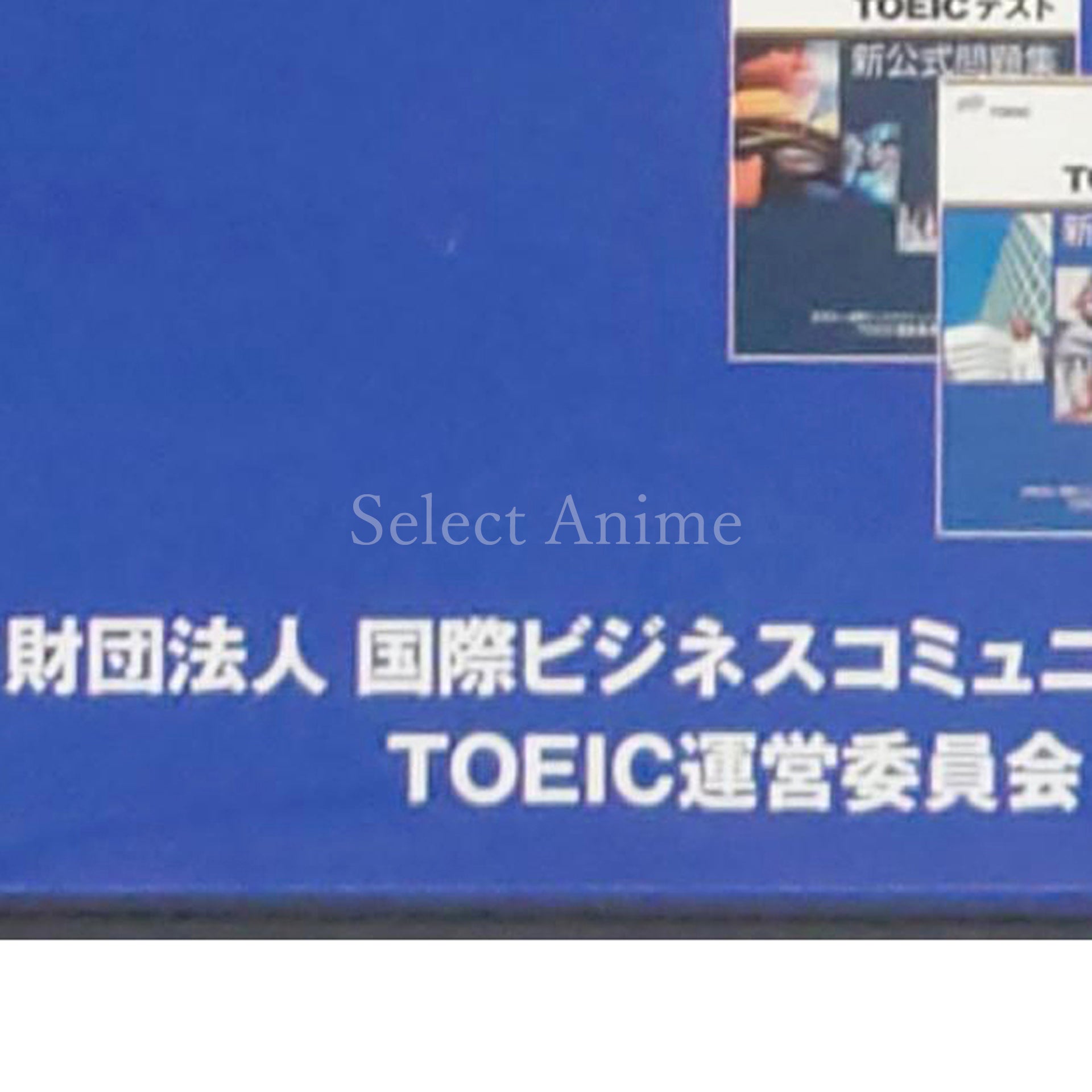 Toeic Test Koushiki DS Training NINTENDO DS [USED]