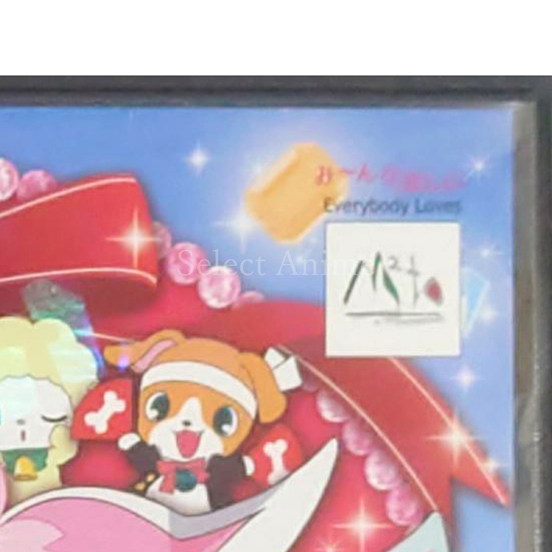 Jewelpet: Maho no DS Kirapikariin NINTENDO DS [USED]