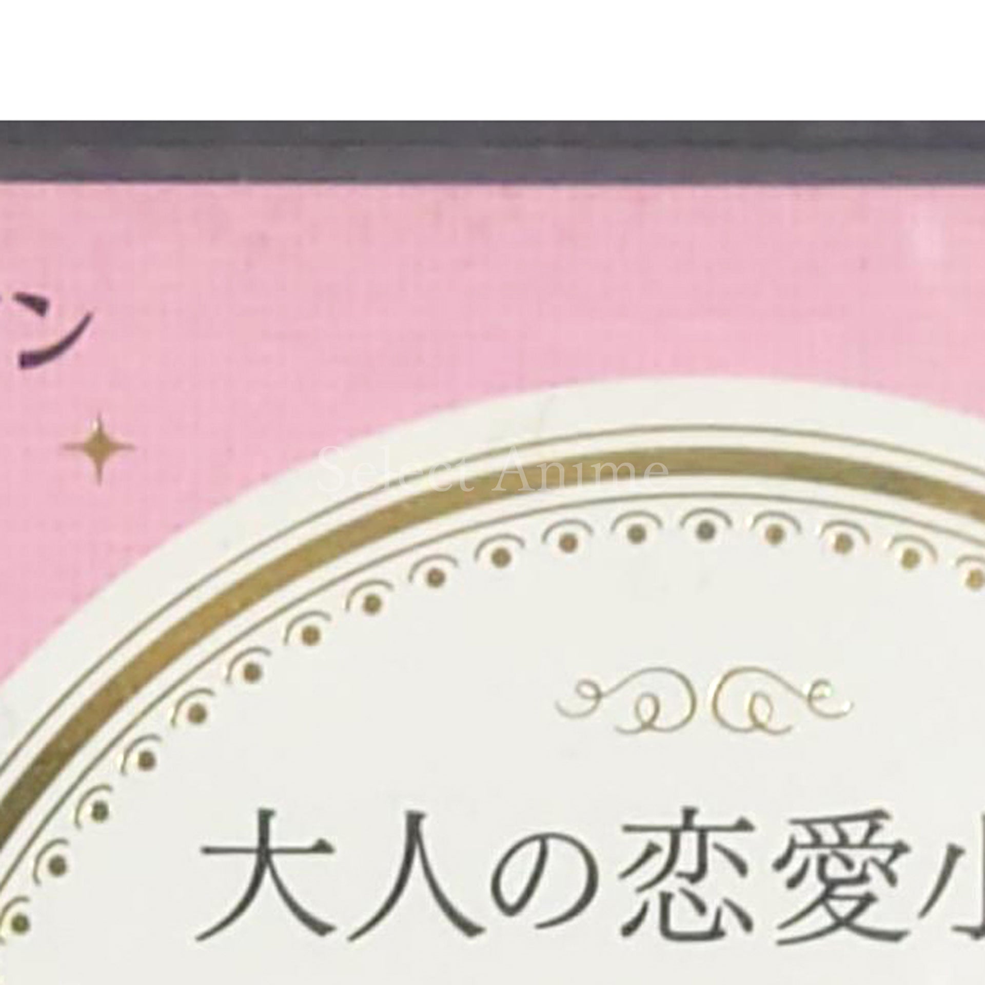 Otona no Renai Shosetsu DS Harlequin Selection NINTENDO DS [USED]