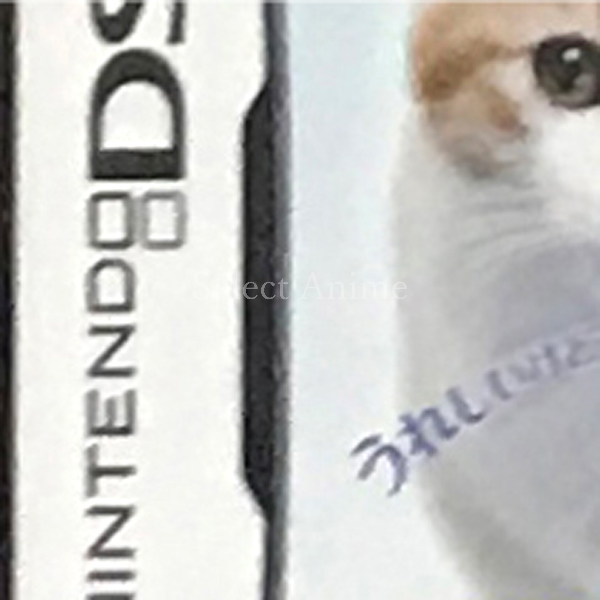 Kawaii Koneko DS 3 NINTENDO DS [USED]