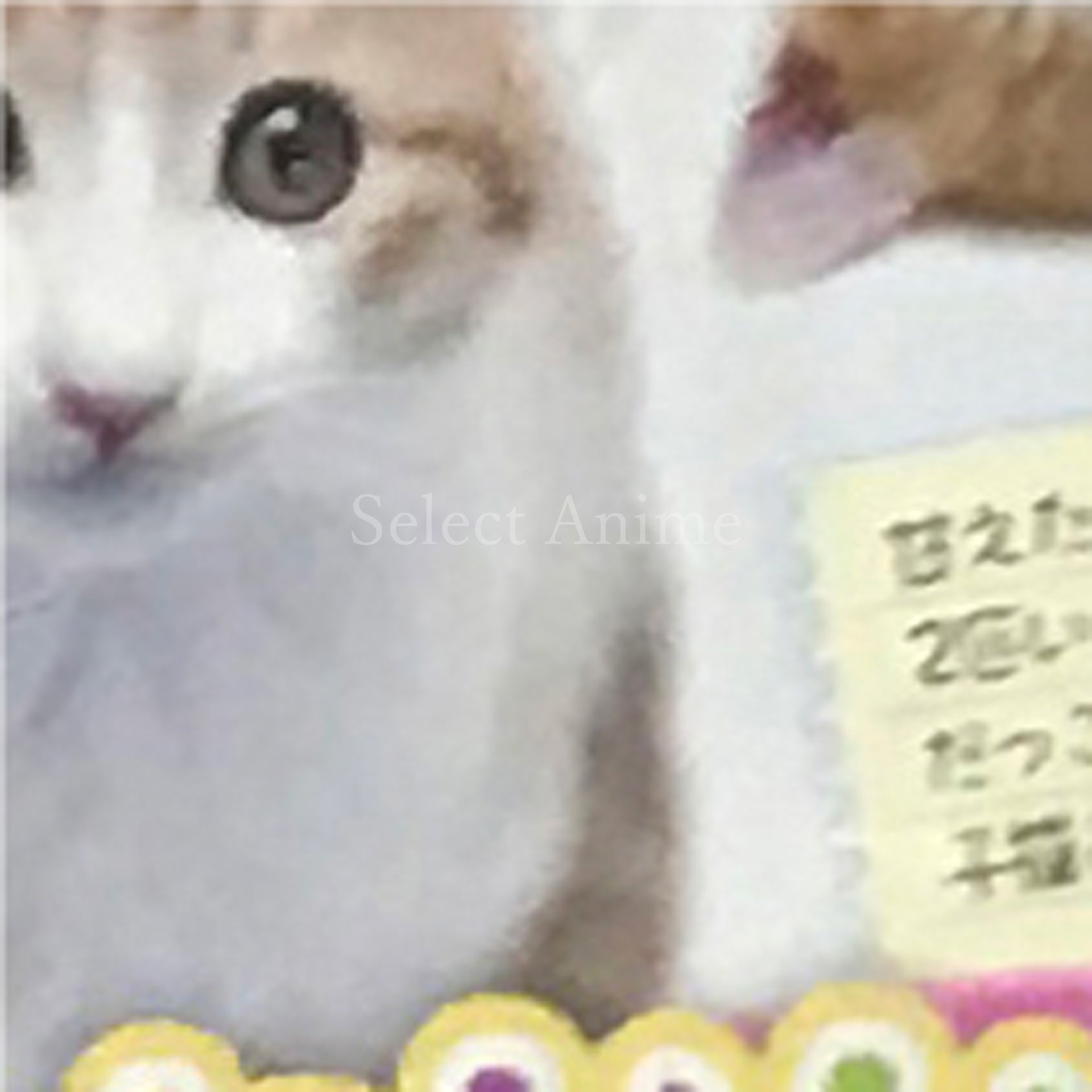Kawaii Koneko DS 3 NINTENDO DS [USED]