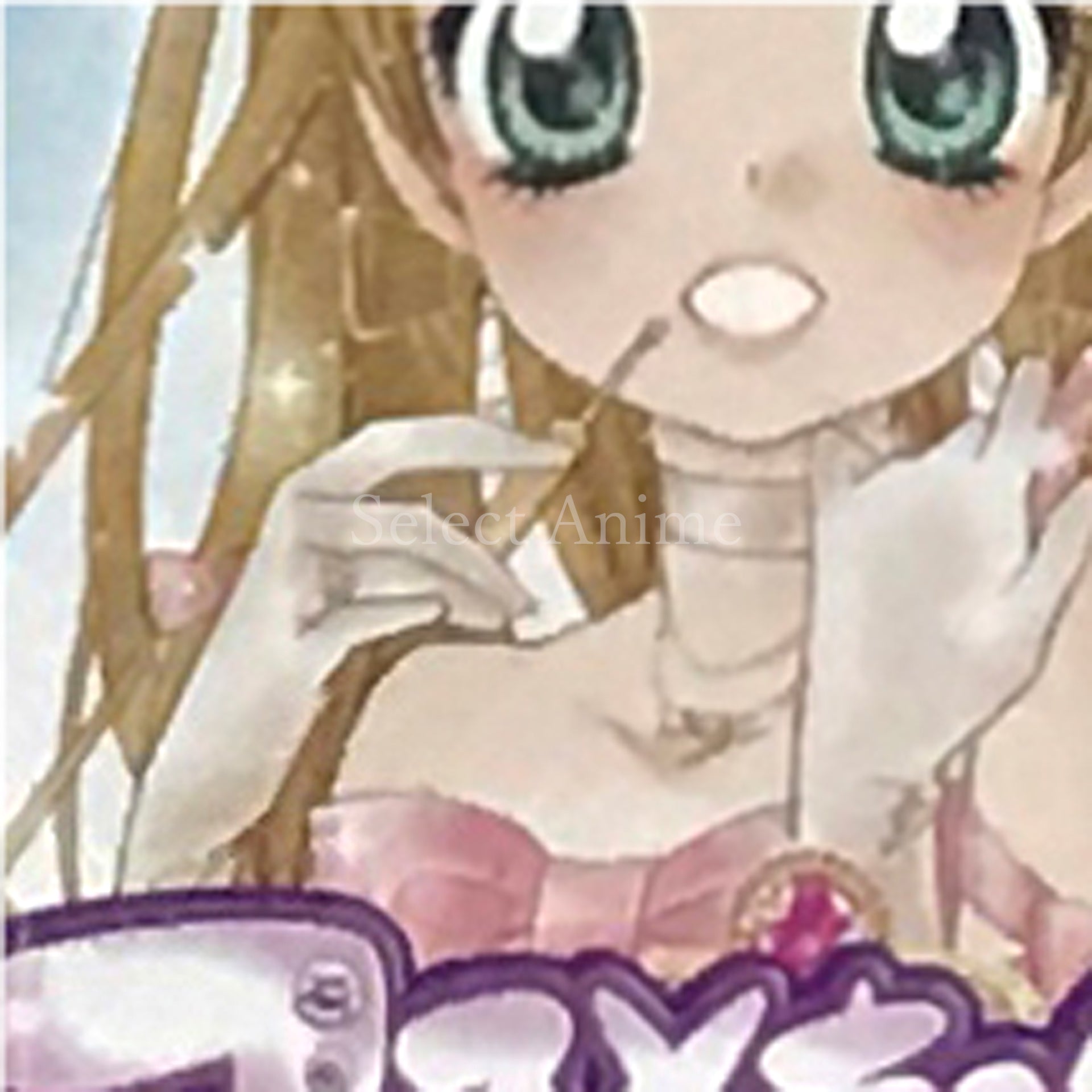 Cosmetic Paradise: Princess Life NINTENDO DS [USED]