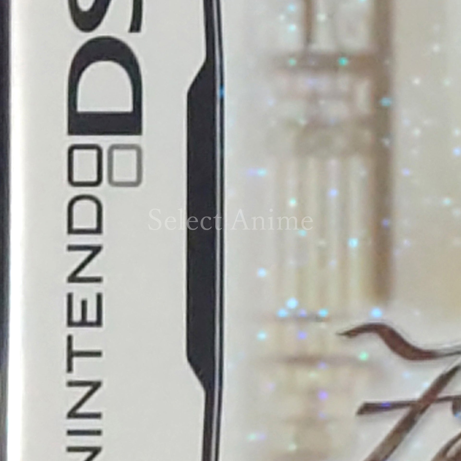 FabStyle NINTENDO DS [USED]