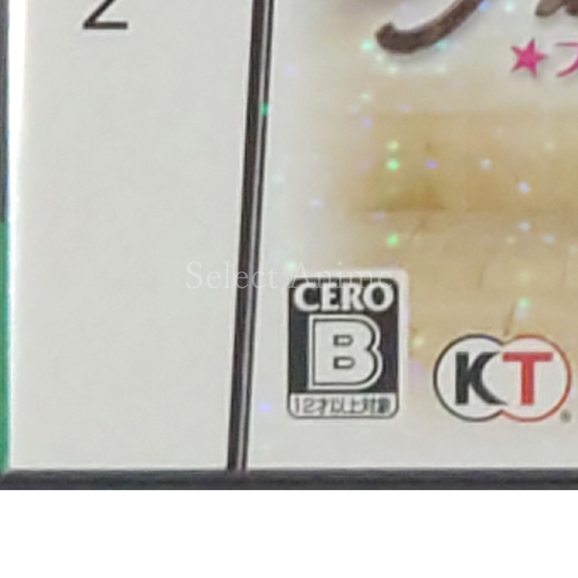 FabStyle NINTENDO DS [USED]