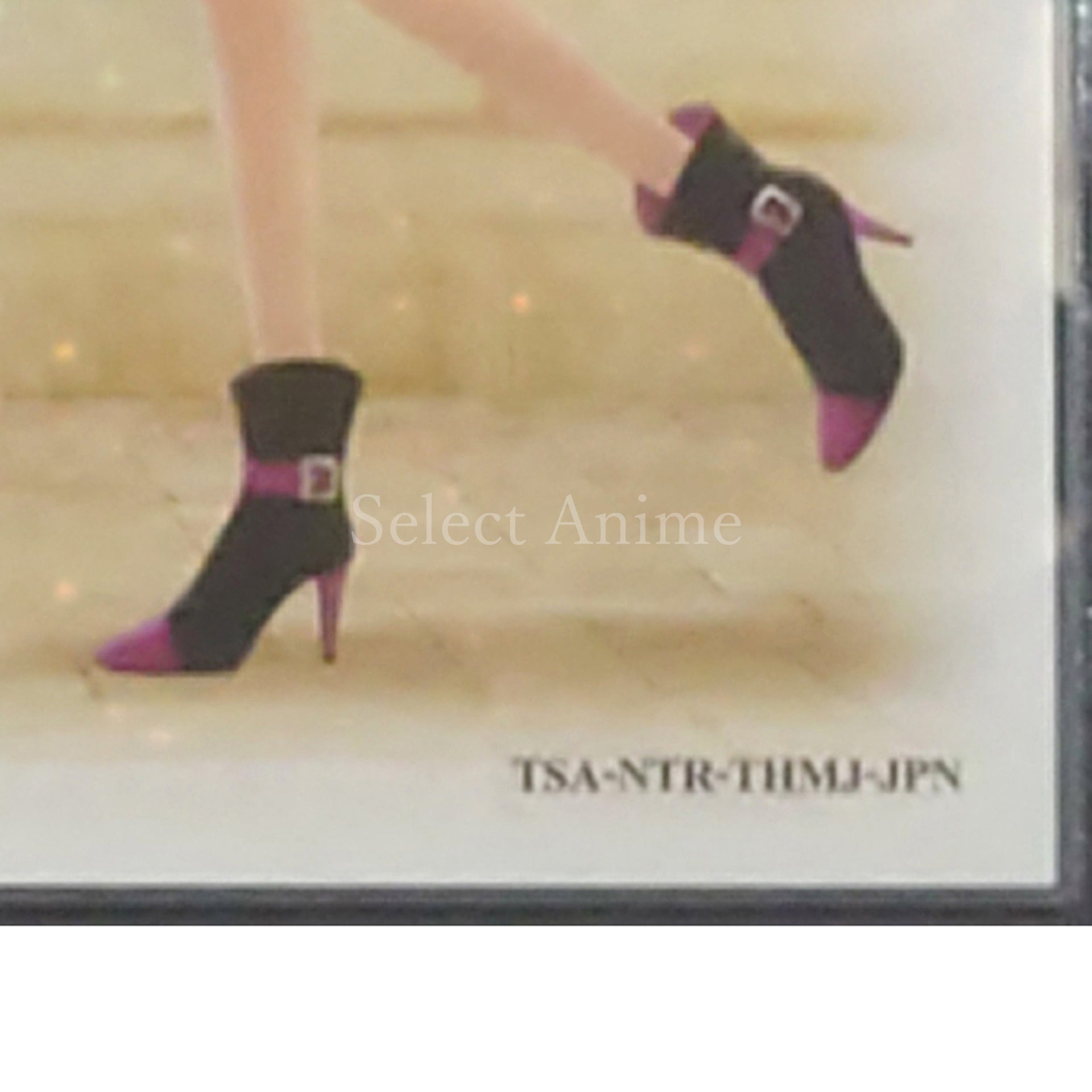 FabStyle NINTENDO DS [USED]