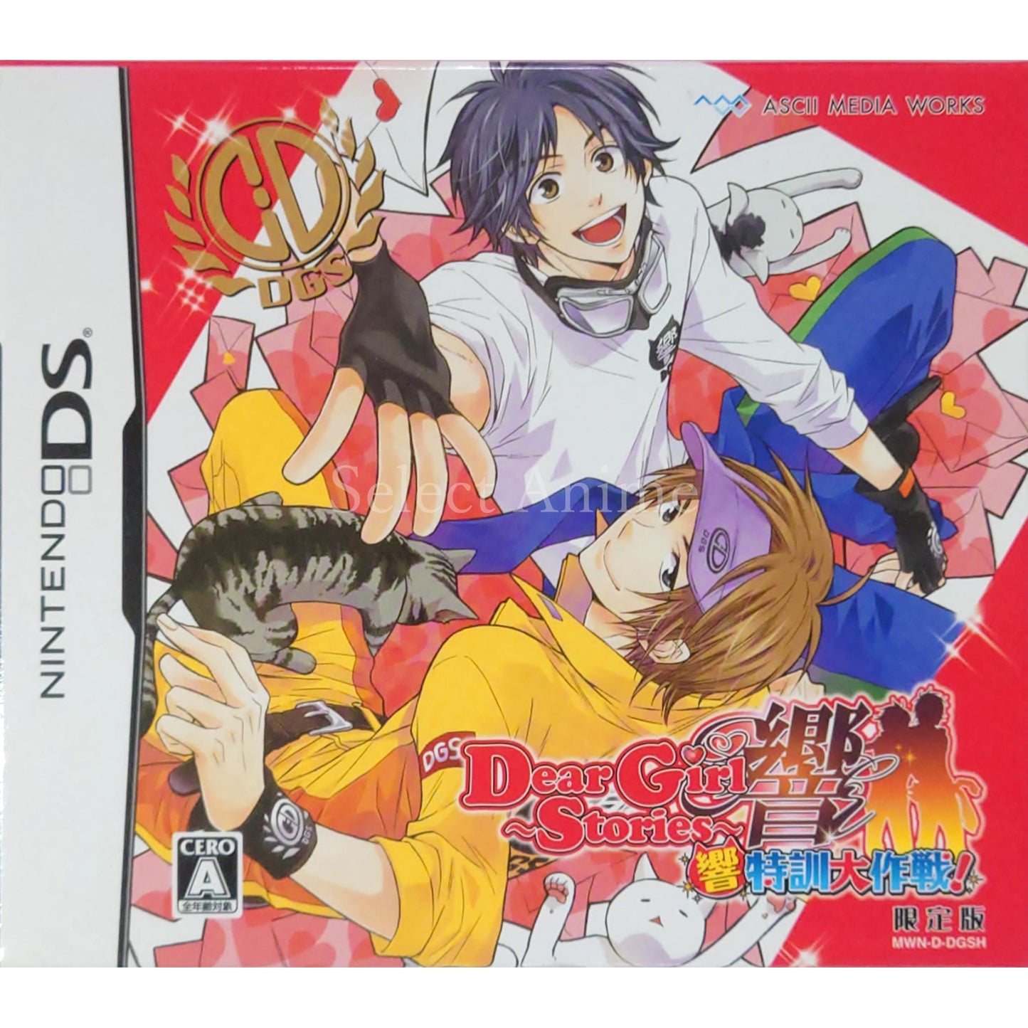 Dear Girl Stories Hibiki: Hibiki Tokkun Daisakusen! Limited Edition NINTENDO DS [USED]