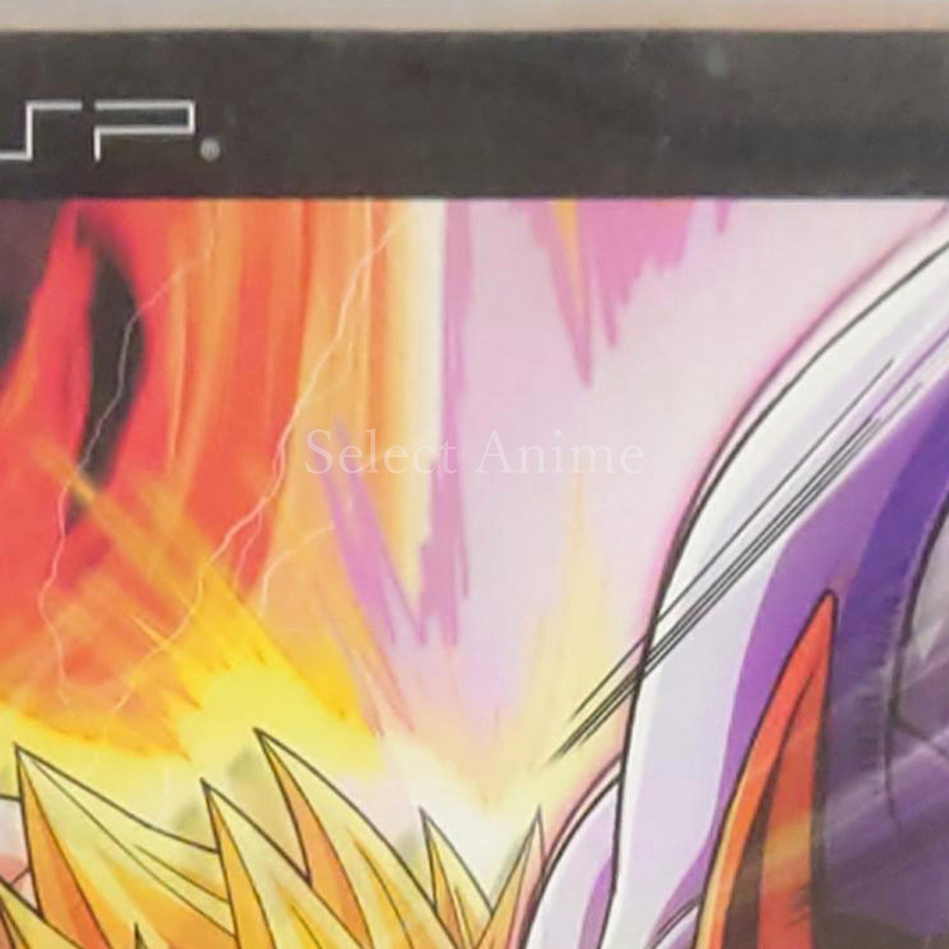 Dragon Ball Z: Shin Budokai PlayStation Portable [USED]
