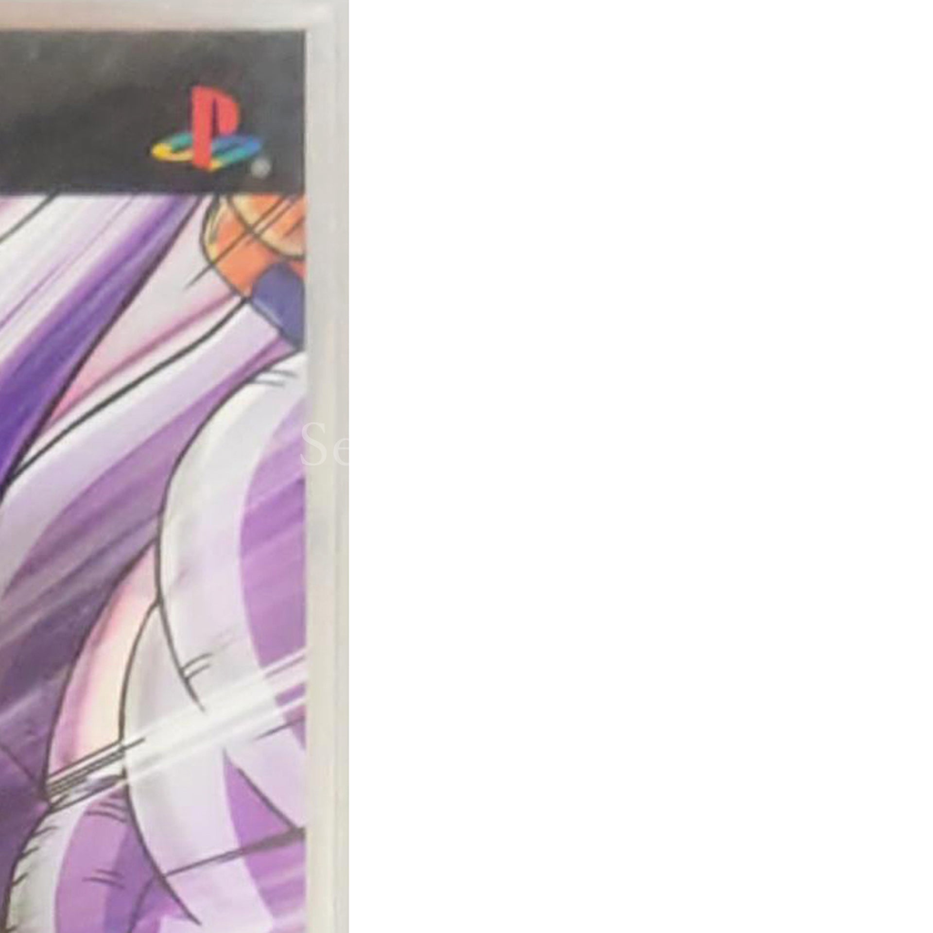 Dragon Ball Z: Shin Budokai PlayStation Portable [USED]