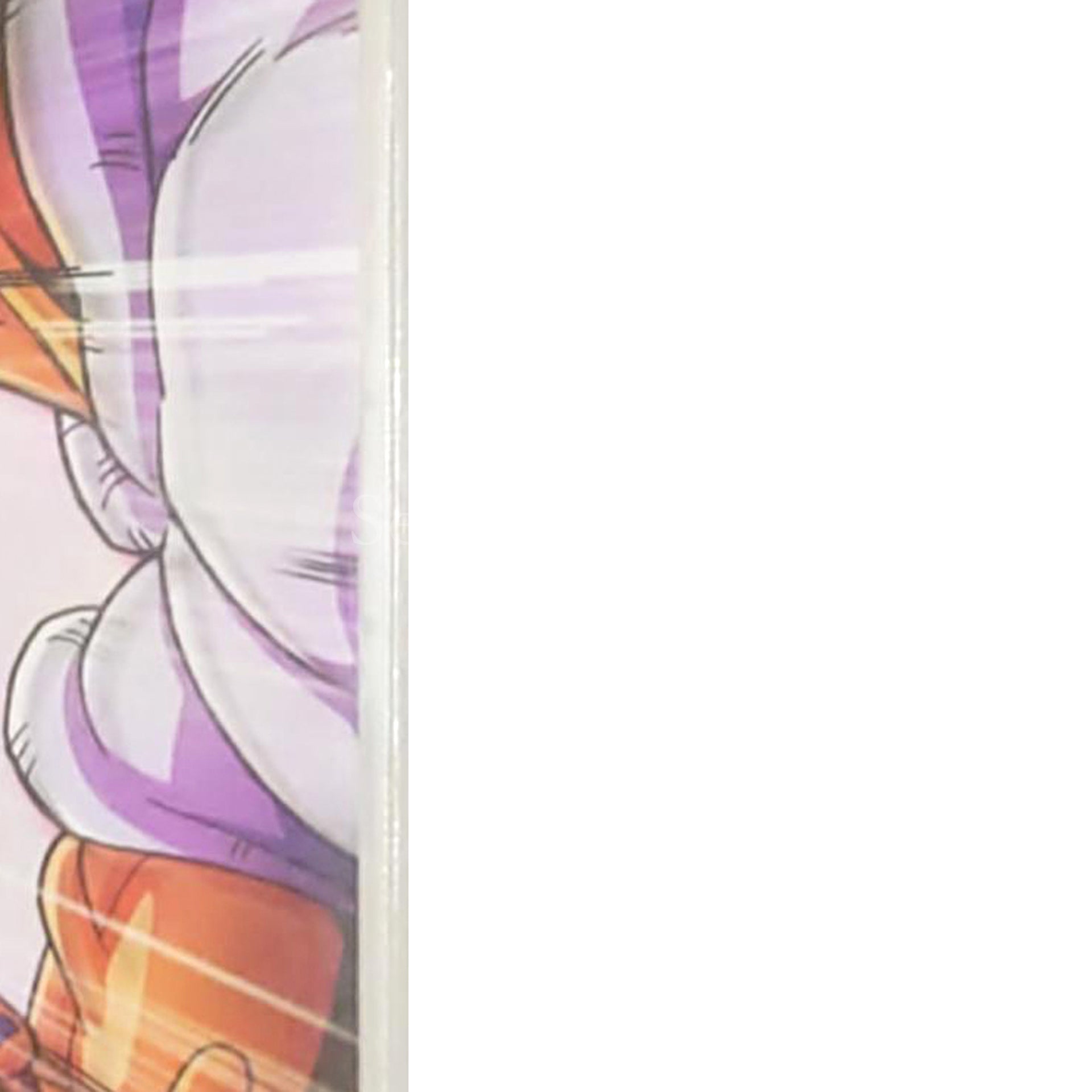 Dragon Ball Z: Shin Budokai PlayStation Portable [USED]