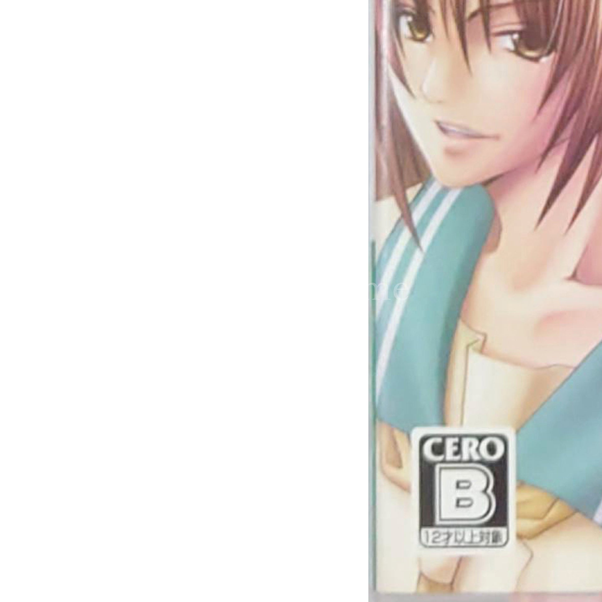 Little Aid Portable PlayStation Portable [USED]