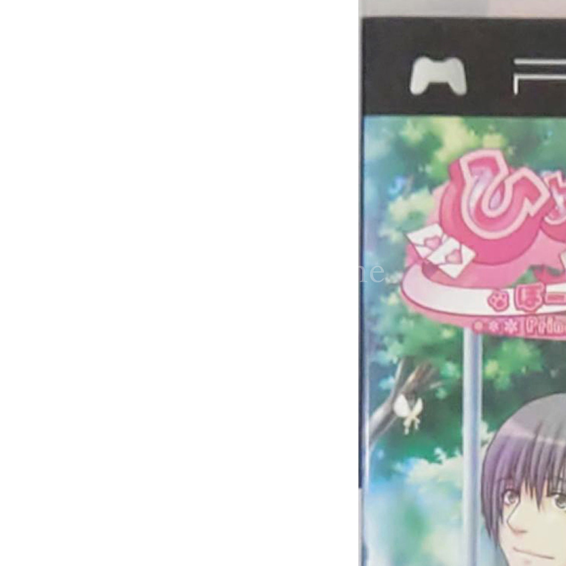 Himehibi: Prinncess Days Portable PlayStation Portable [USED]