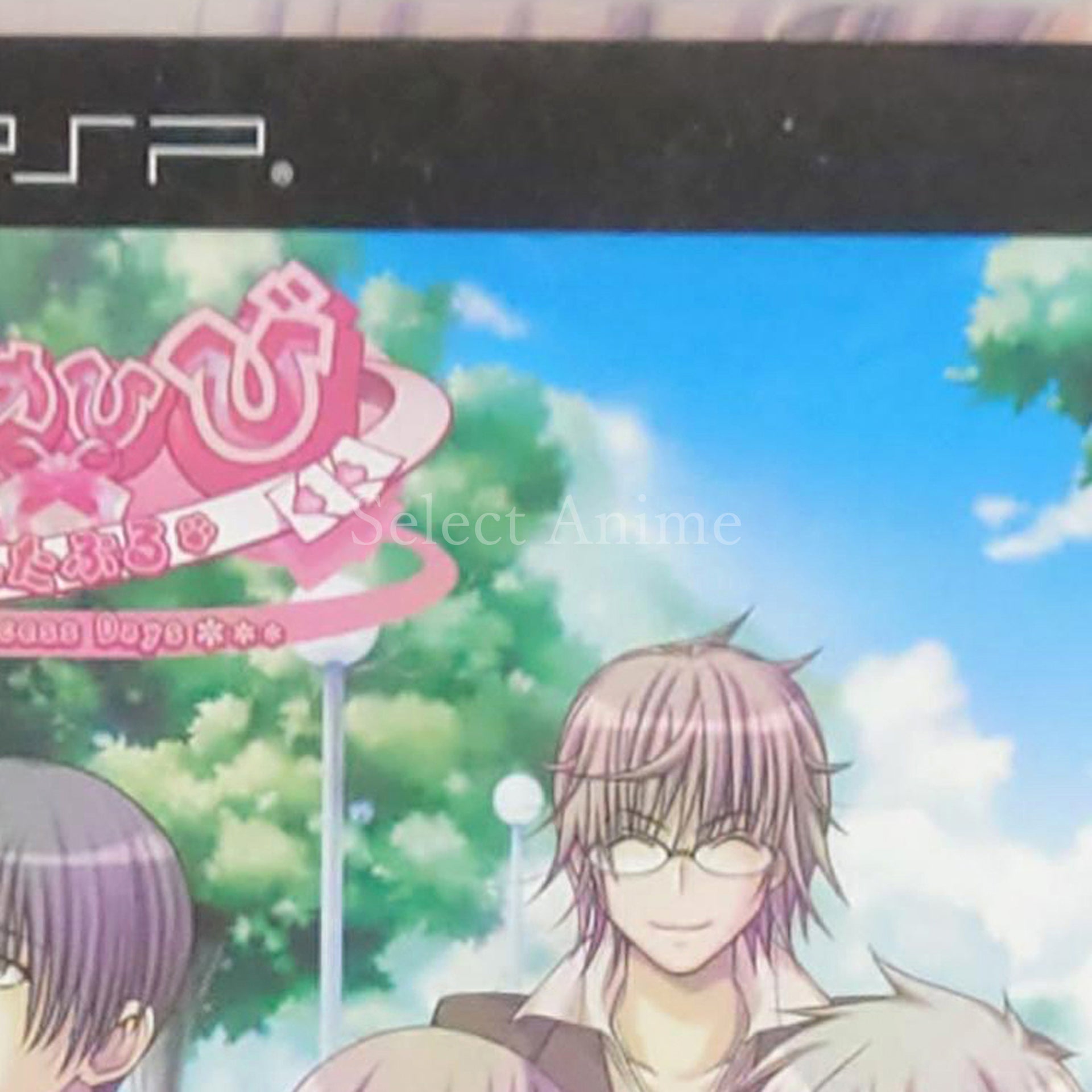 Himehibi: Prinncess Days Portable PlayStation Portable [USED]