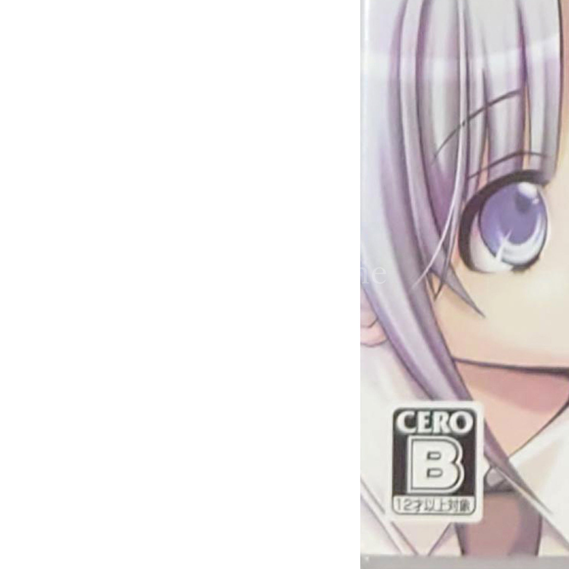 Himehibi: Prinncess Days Portable PlayStation Portable [USED]