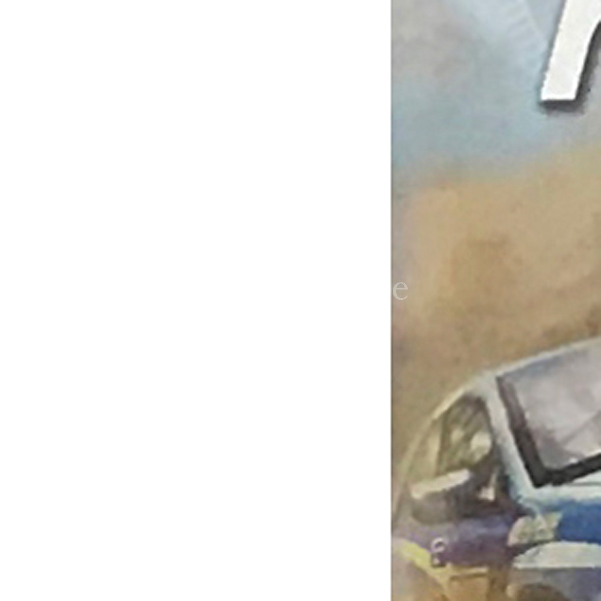 Dirt and Dirt Rally Best Price PlayStation Portable [USED]