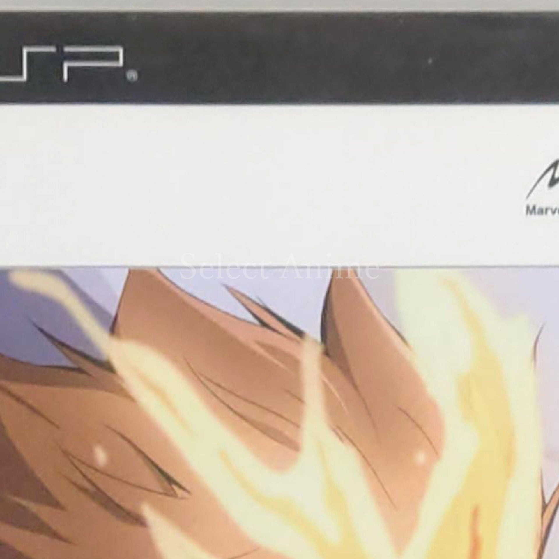 Katekyo Hitman Reborn! Battle Arena Best Collection PlayStation Portable [USED]