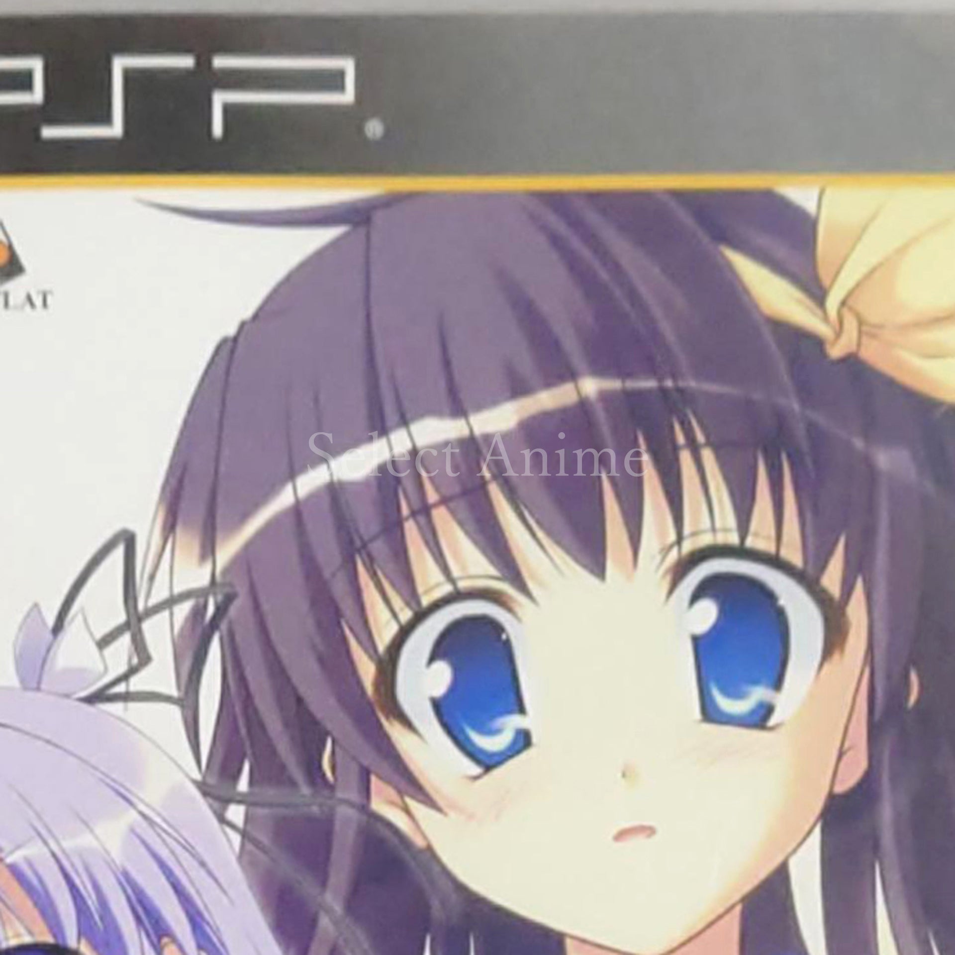 Secret Game Portable PlayStation Portable [USED]