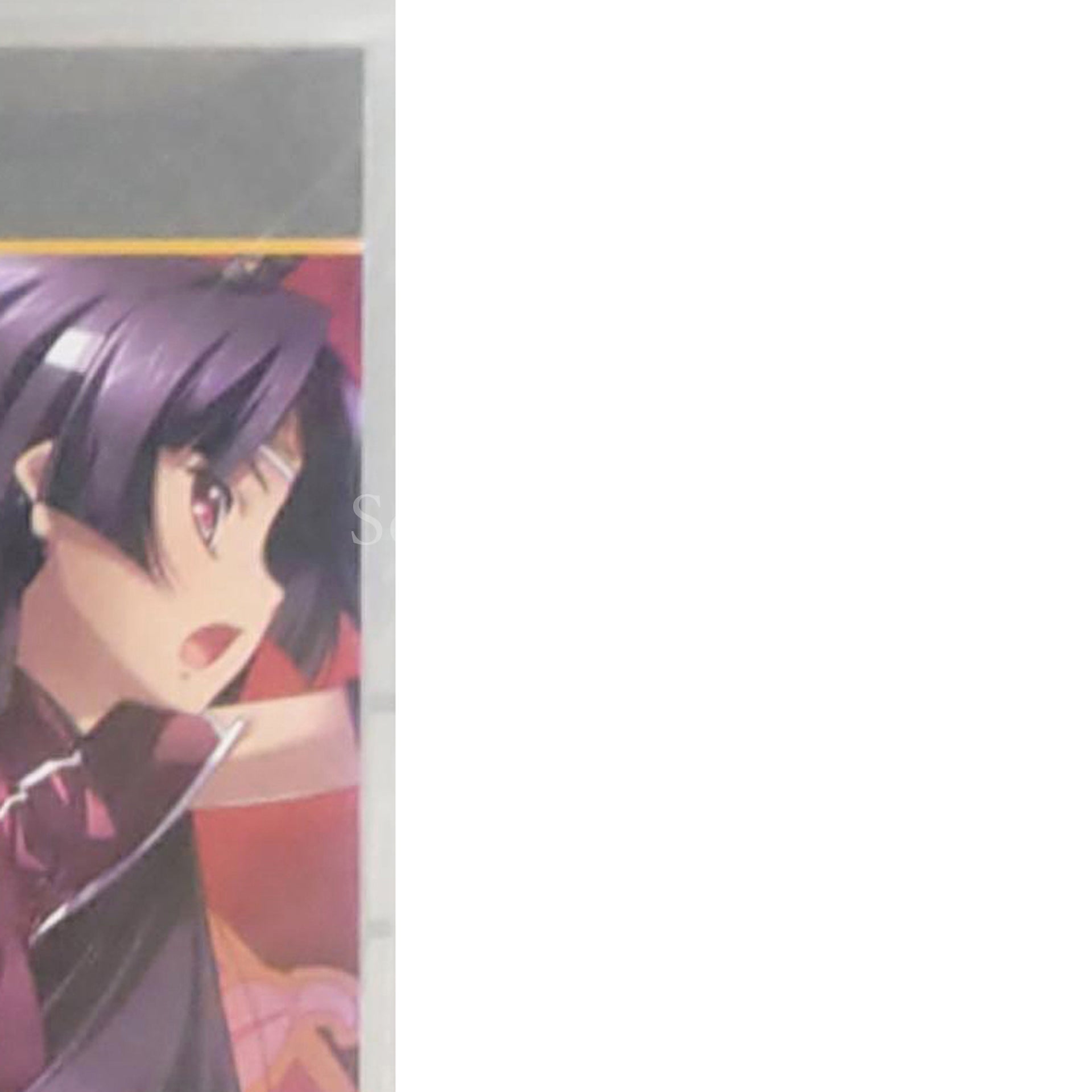 Shin Koihime Musou: Otome Ryoran Sangokushi Engi Wu Hen PlayStation Portable [USED]