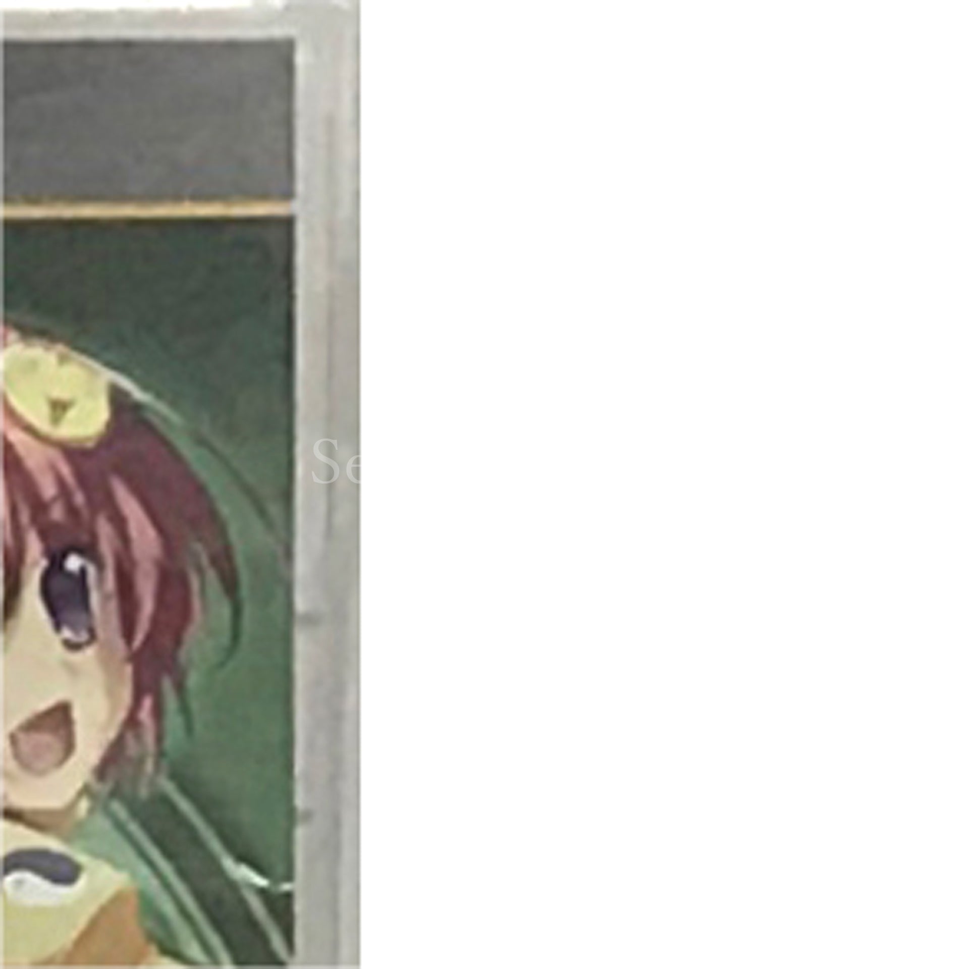 Shin Koihime Musou: Otome Ryoran Sangokushi Engi Shun Hen PlayStation Portable [USED]