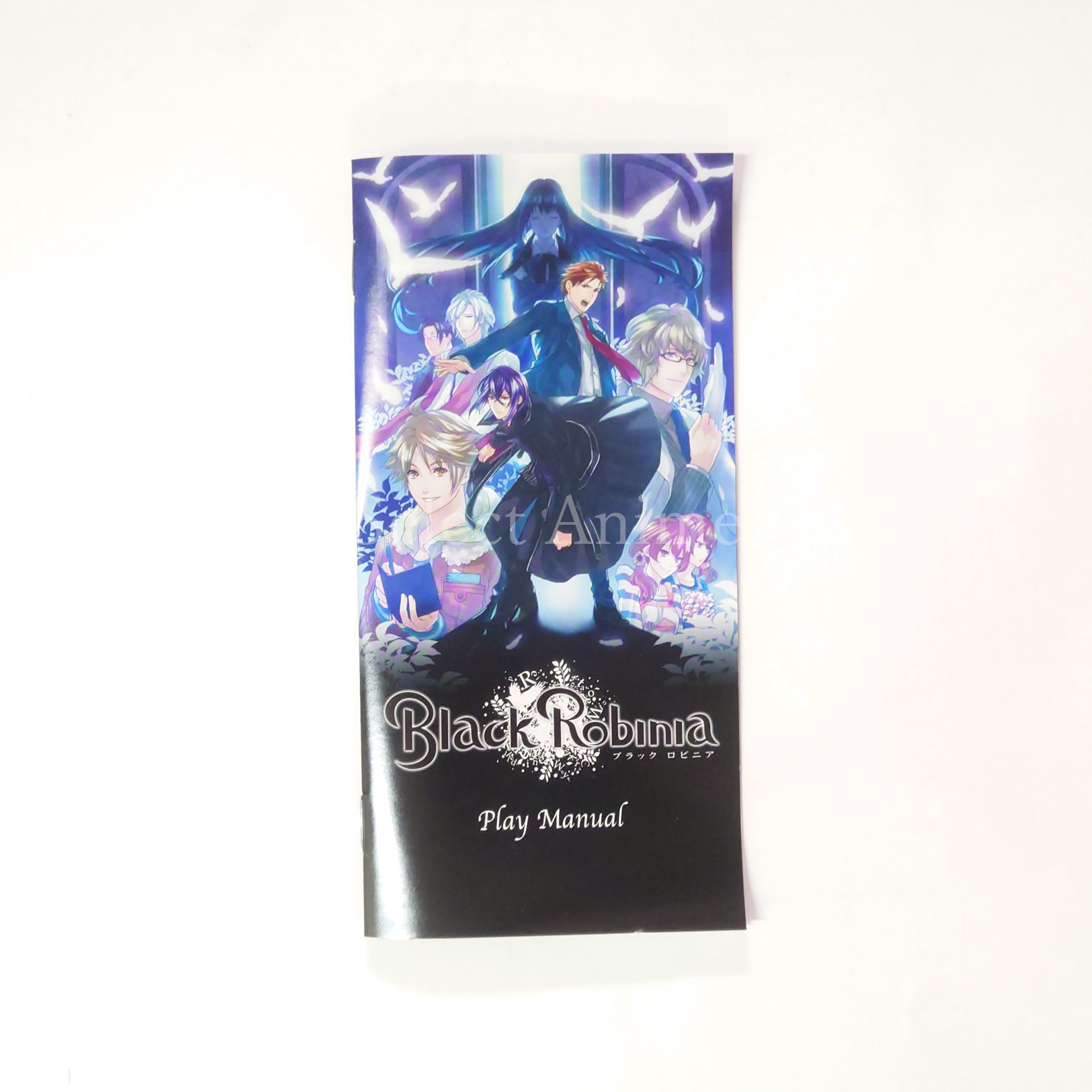 Black Robinia PlayStation Portable [USED]
