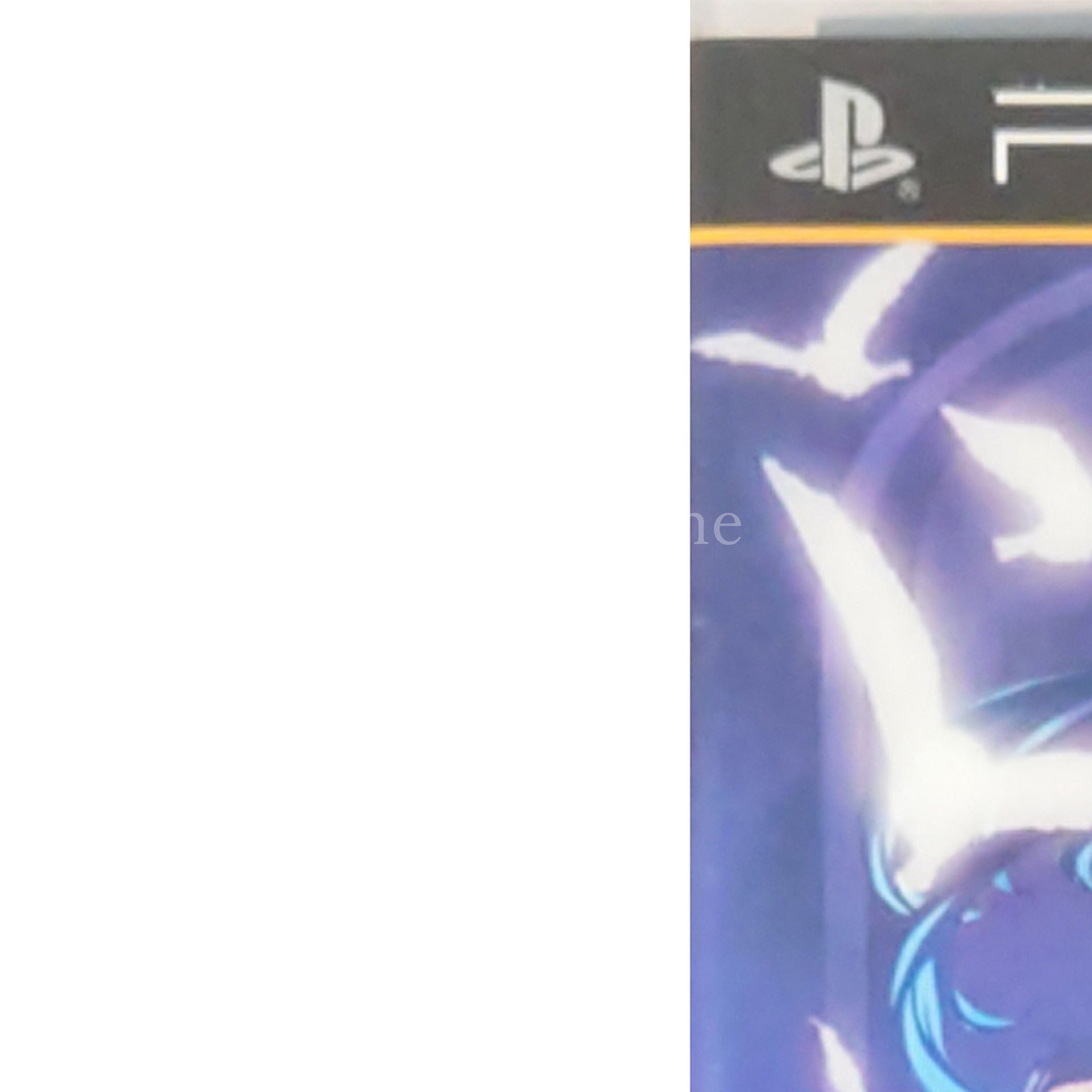 Black Robinia PlayStation Portable [USED]