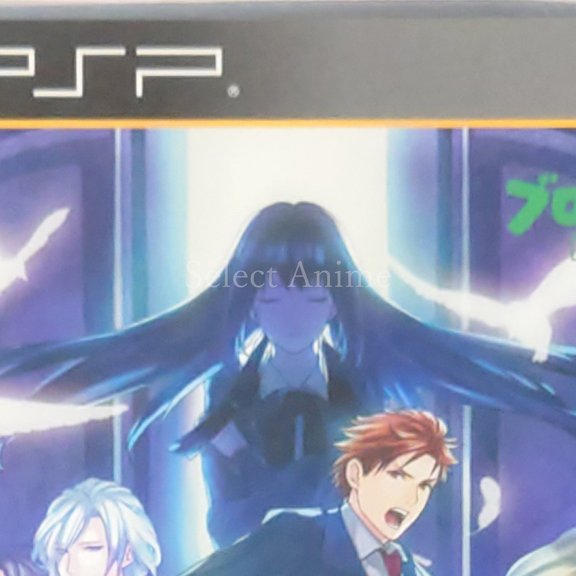 Black Robinia PlayStation Portable [USED]
