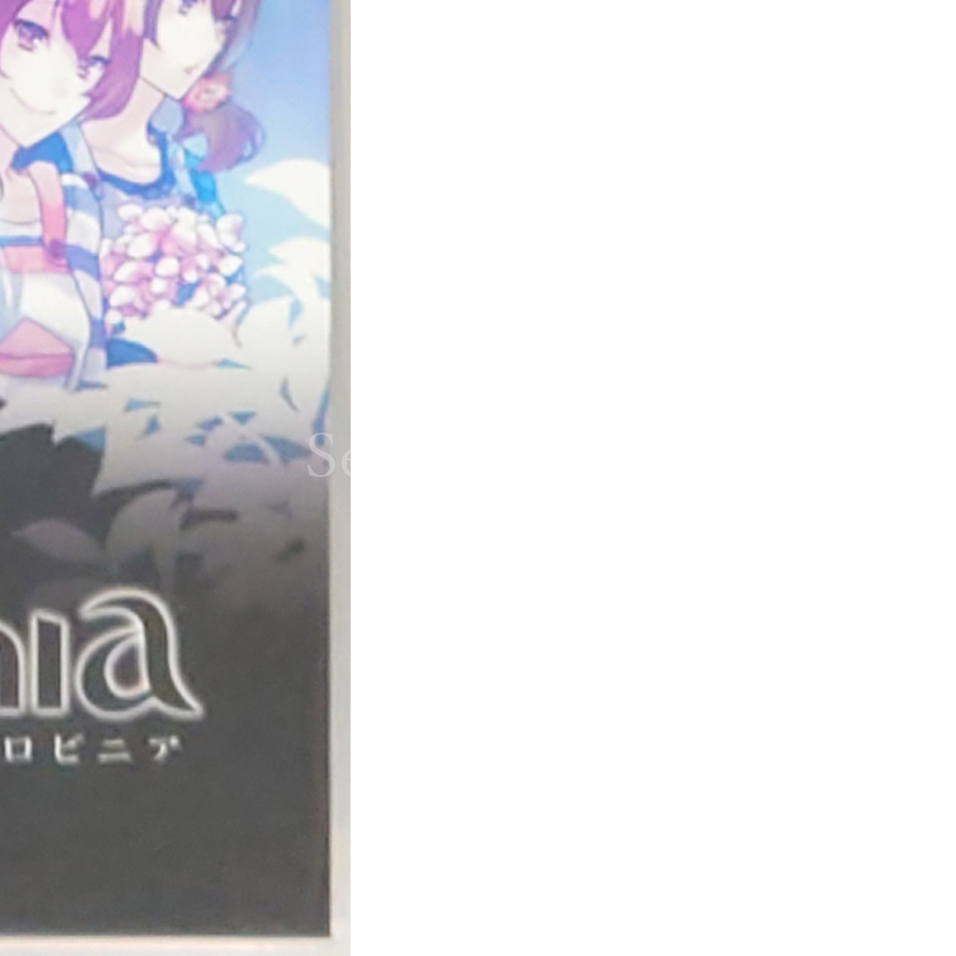 Black Robinia PlayStation Portable [USED]