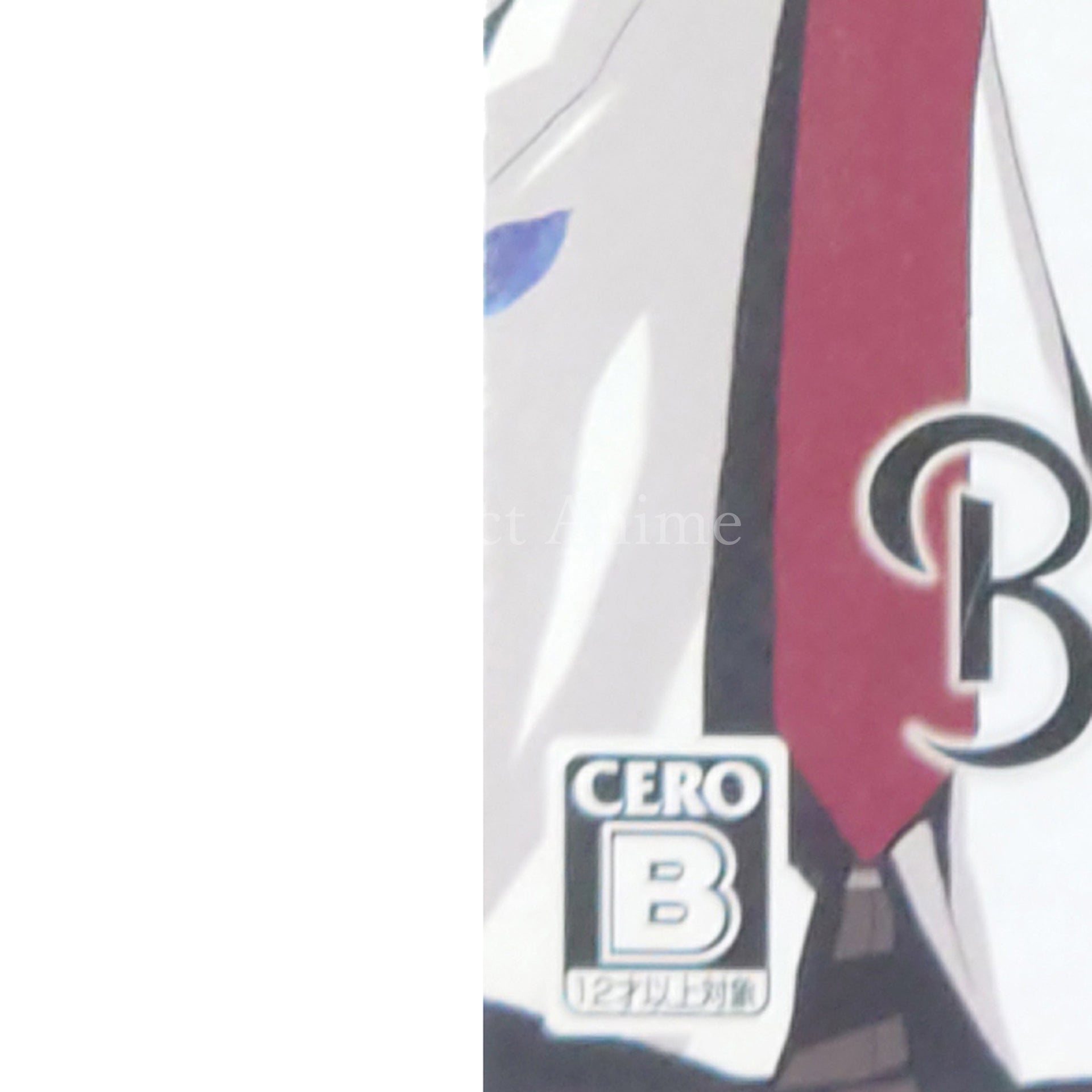 Black Robinia First Limited Edition PlayStation Portable [USED]