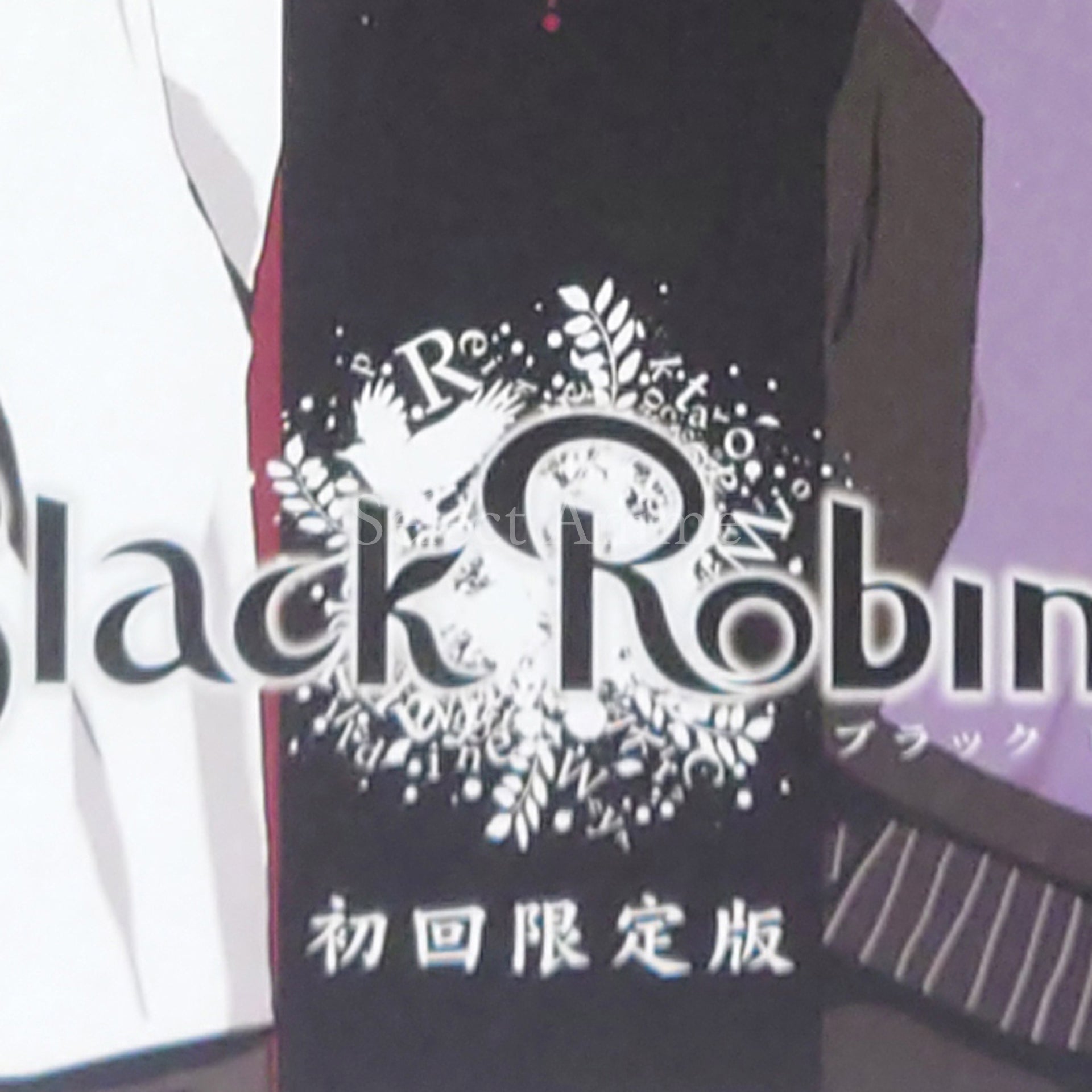 Black Robinia First Limited Edition PlayStation Portable [USED]