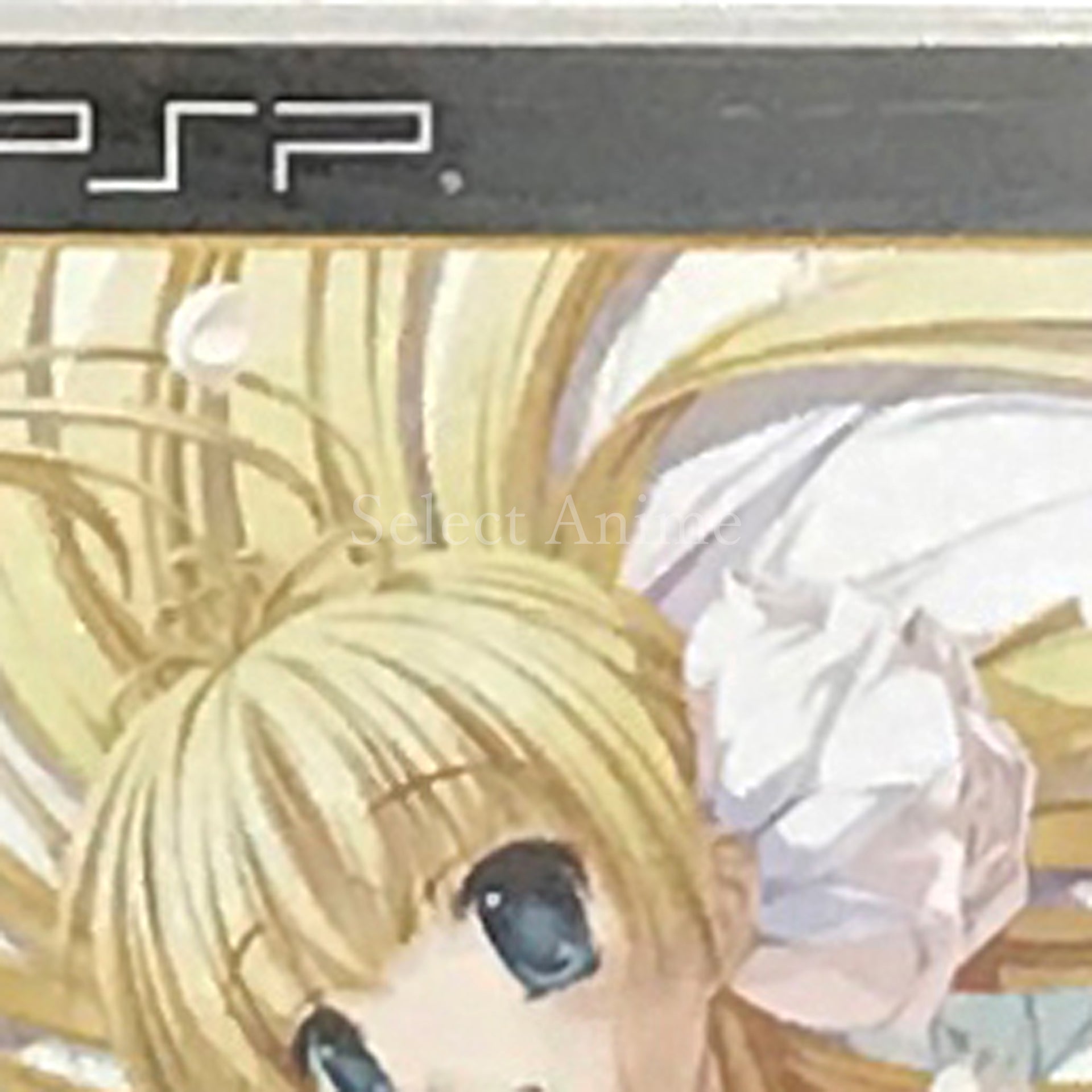 Princess Frontier Portable PlayStation Portable [USED]