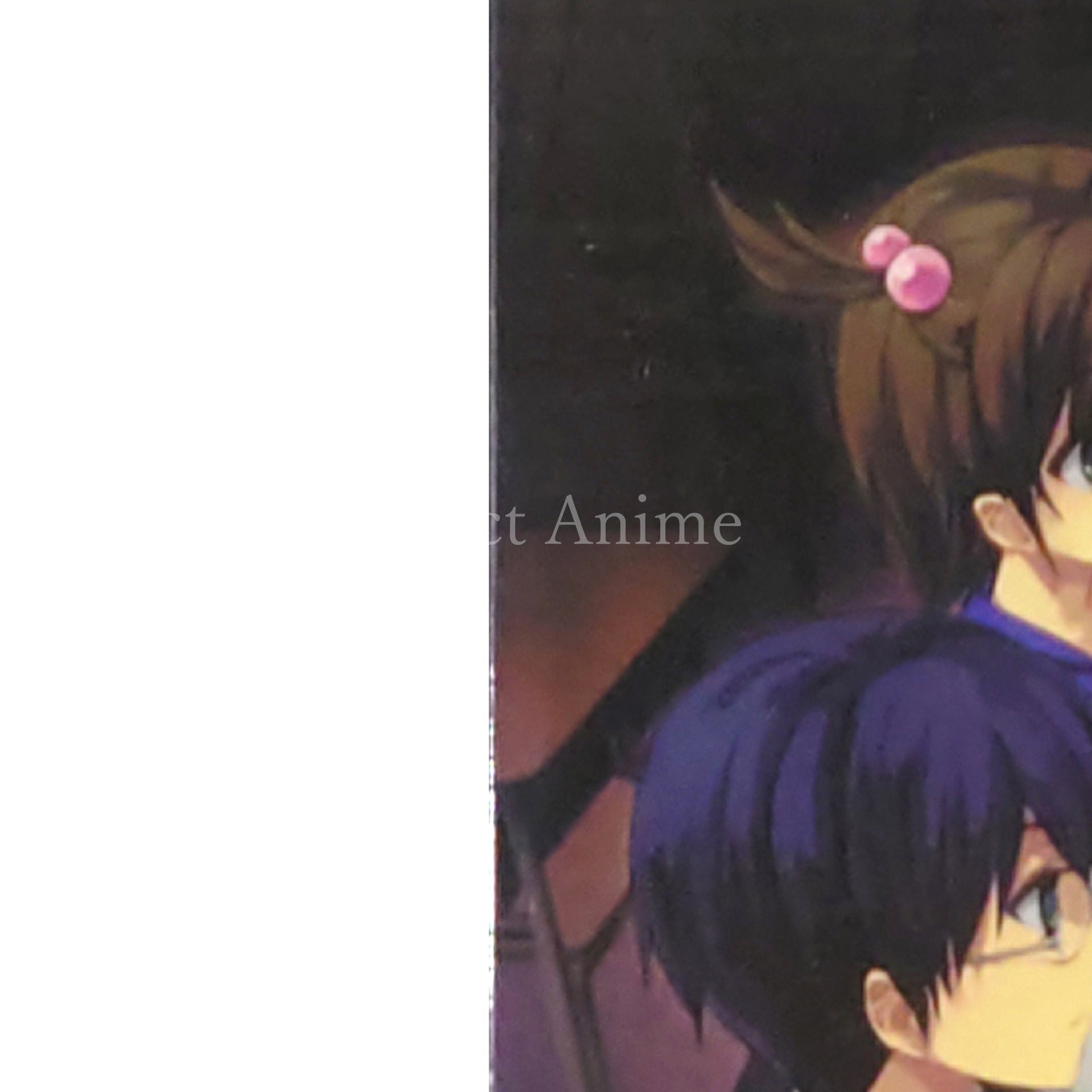 Corpse Party: Book of Shadows Limited Edition PlayStation Portable [USED]