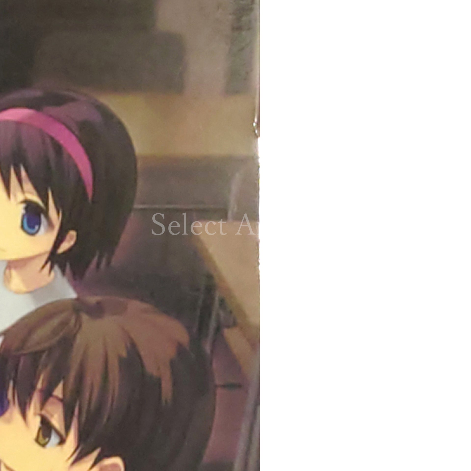 Corpse Party: Book of Shadows Limited Edition PlayStation Portable [USED]