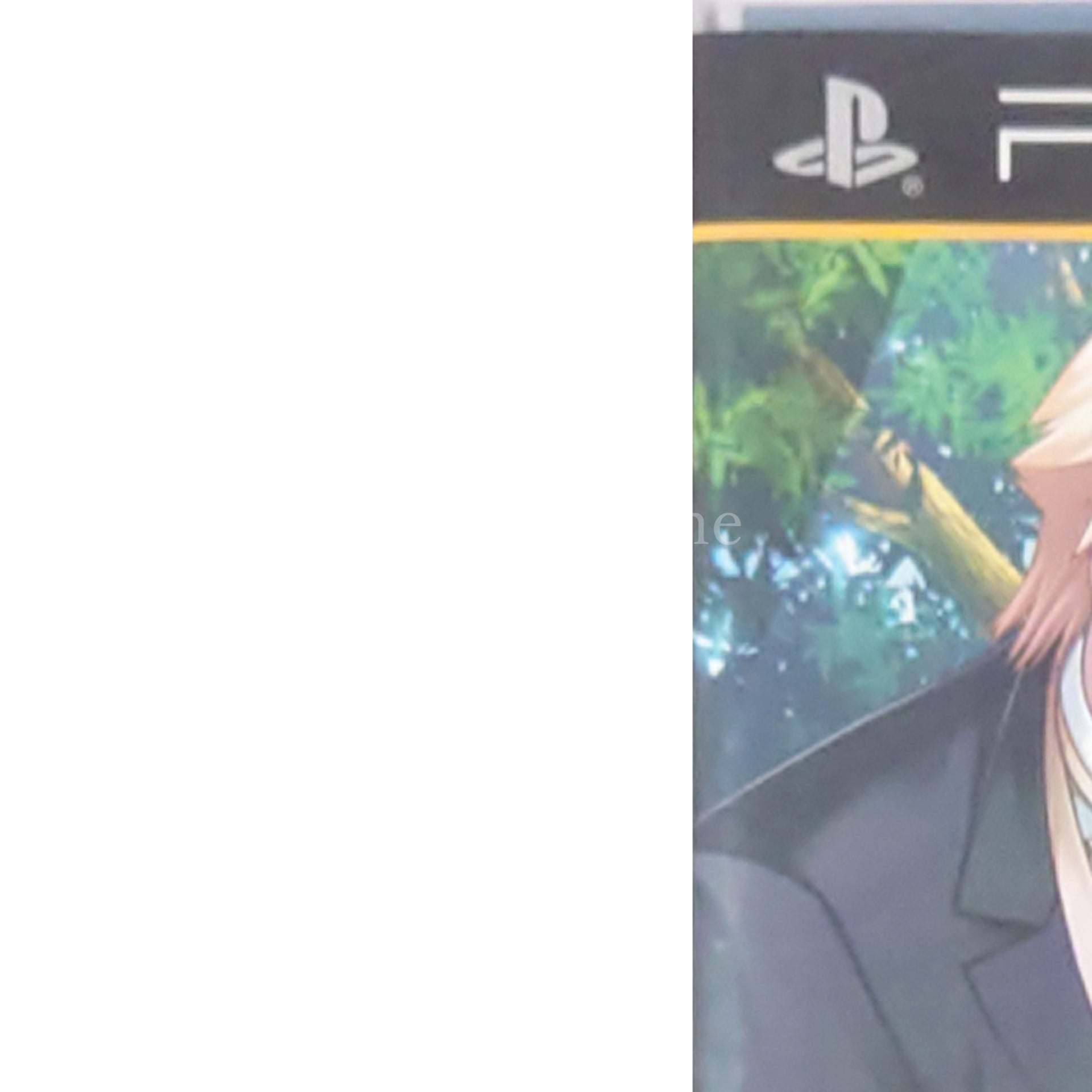 Bullet Butlers: Juudan no Kanata PlayStation Portable [USED]