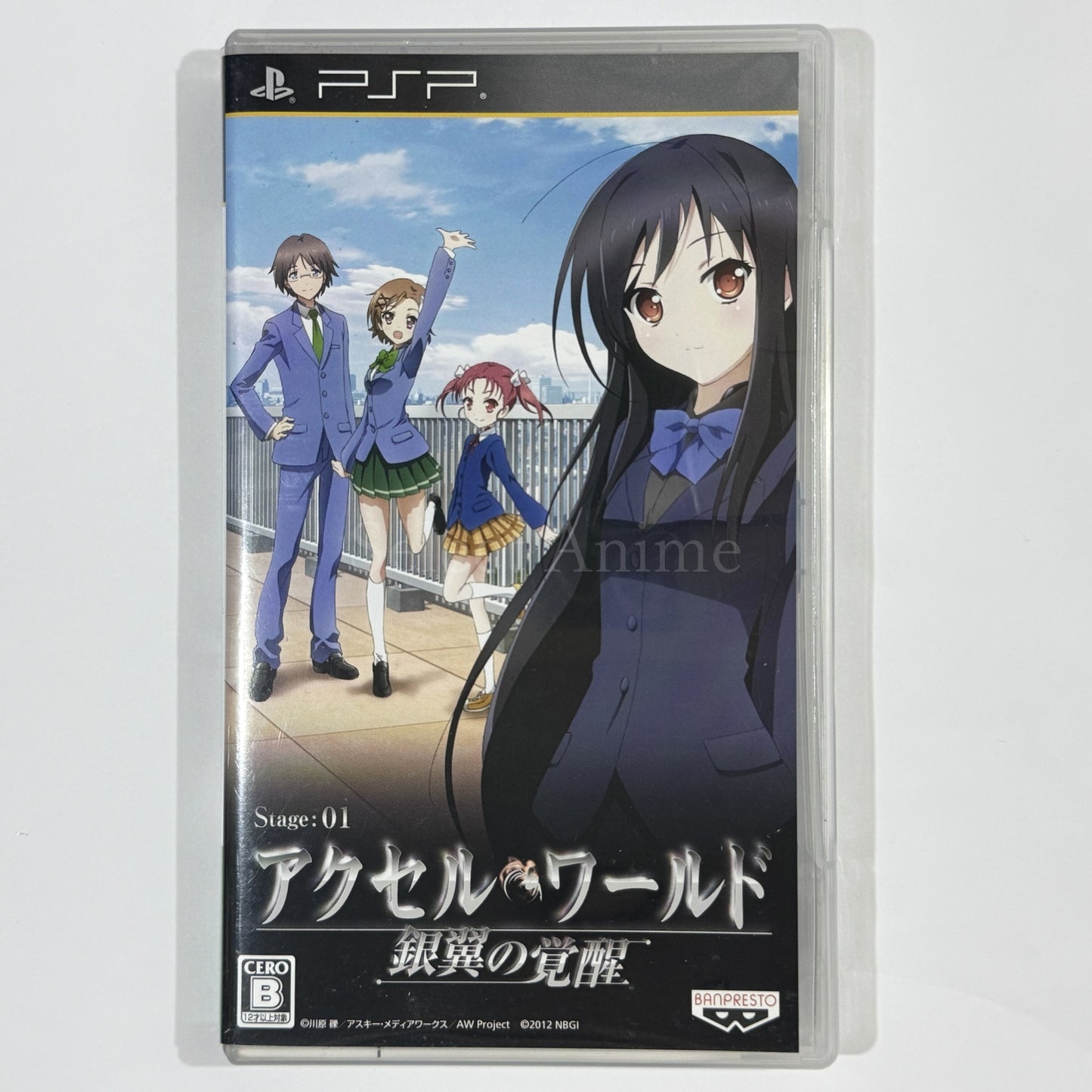 Accel World: Awakening of the Silver Wings PlayStation Portable [USED]
