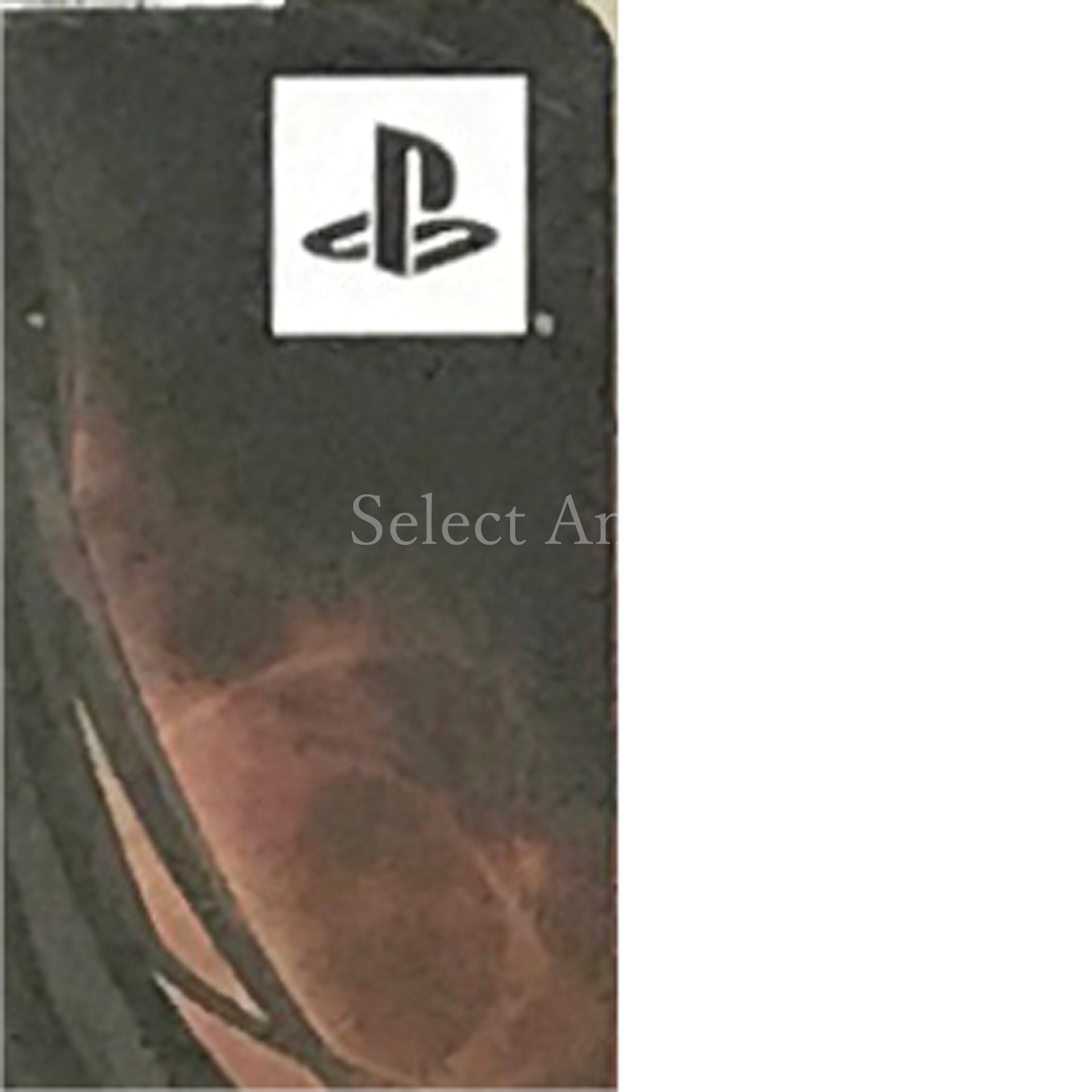 Corpse Party: Sweet Sachiko's Hysteric Birthday Bash Limited Edition PlayStation Portable [USED]