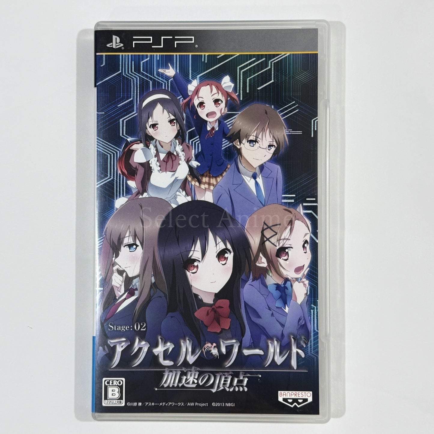 Accel World: The Peak of Acceleration PlayStation Portable [USED]